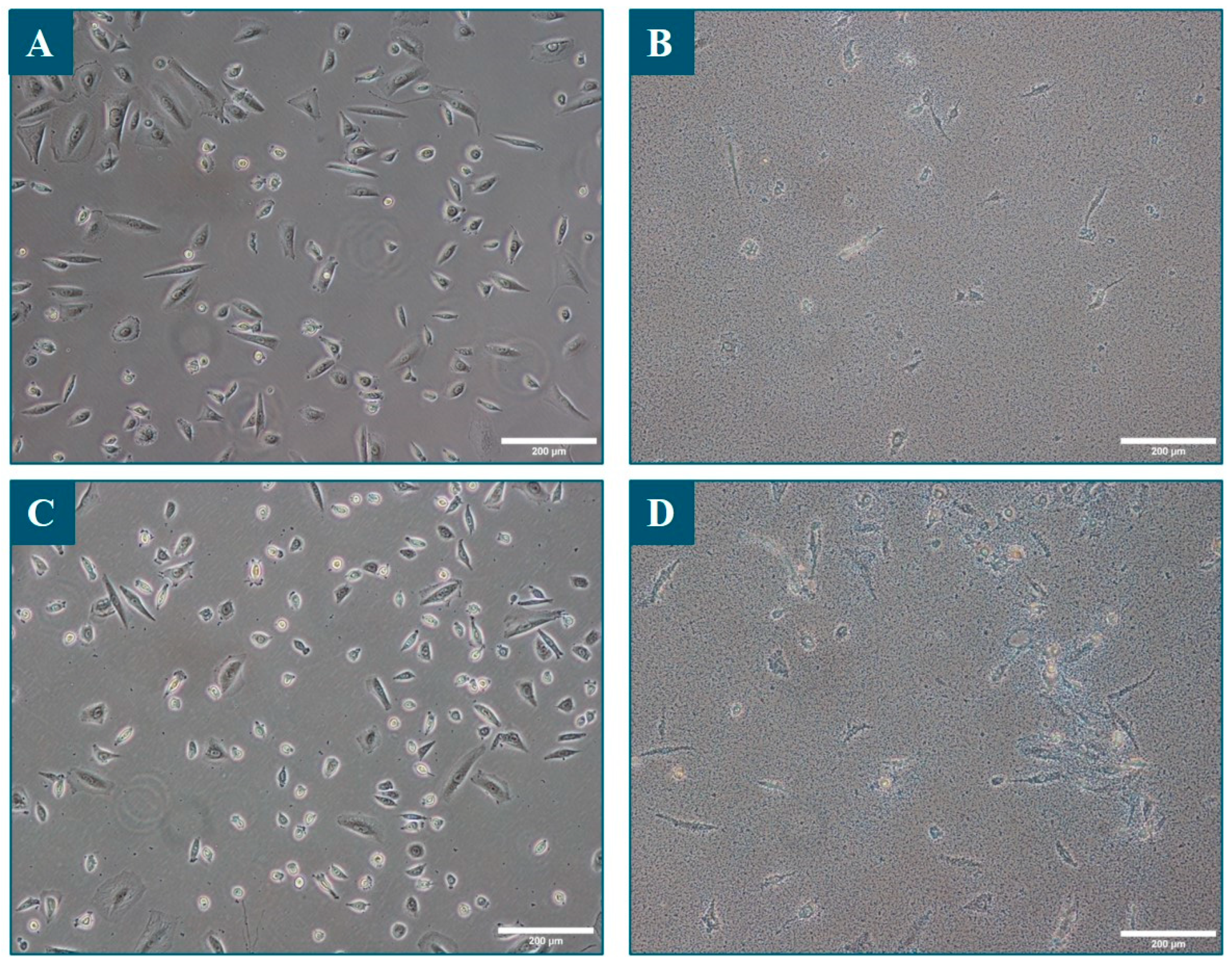 Microorganisms 11 02183 g004