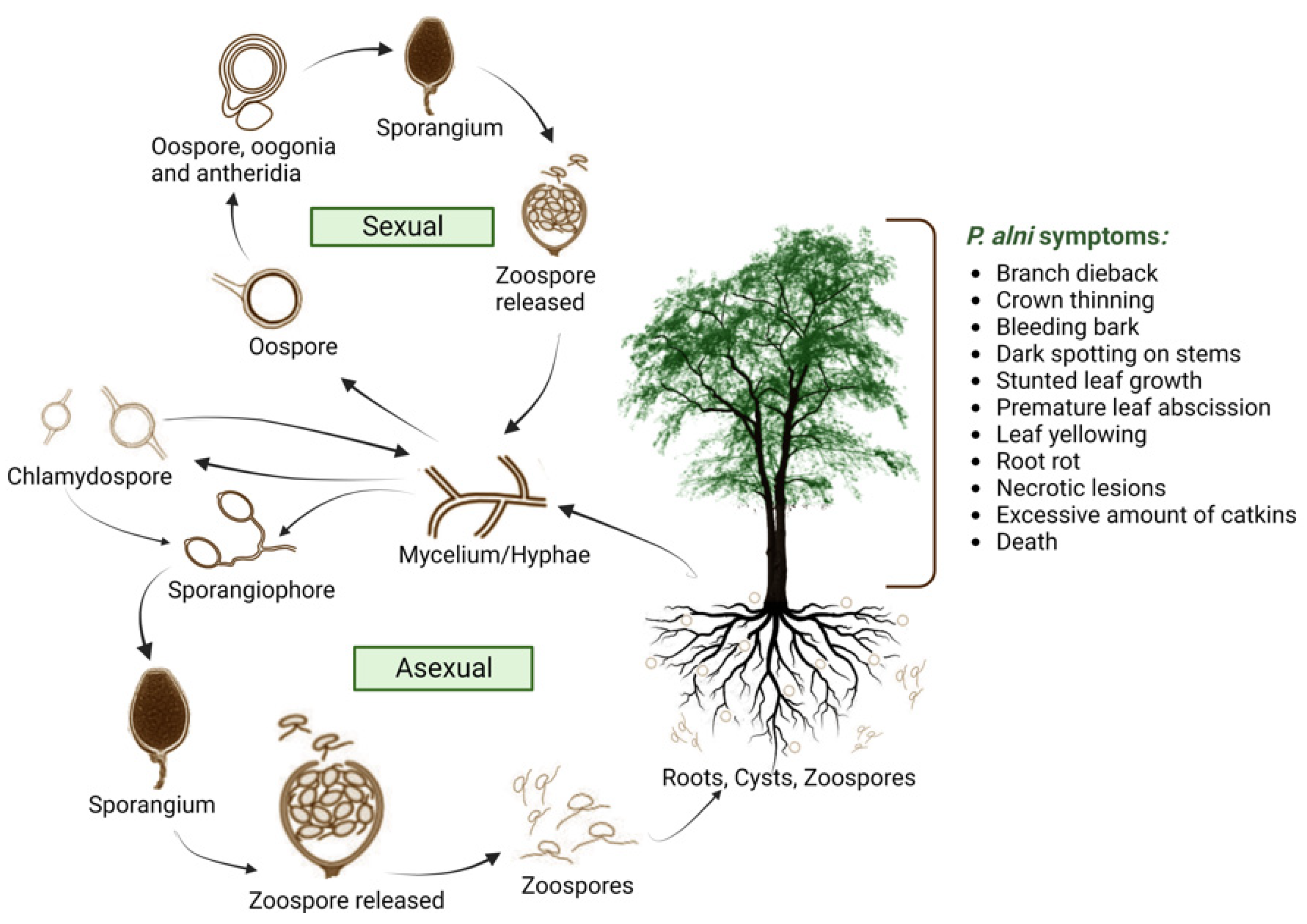 Microorganisms 11 02187 g002