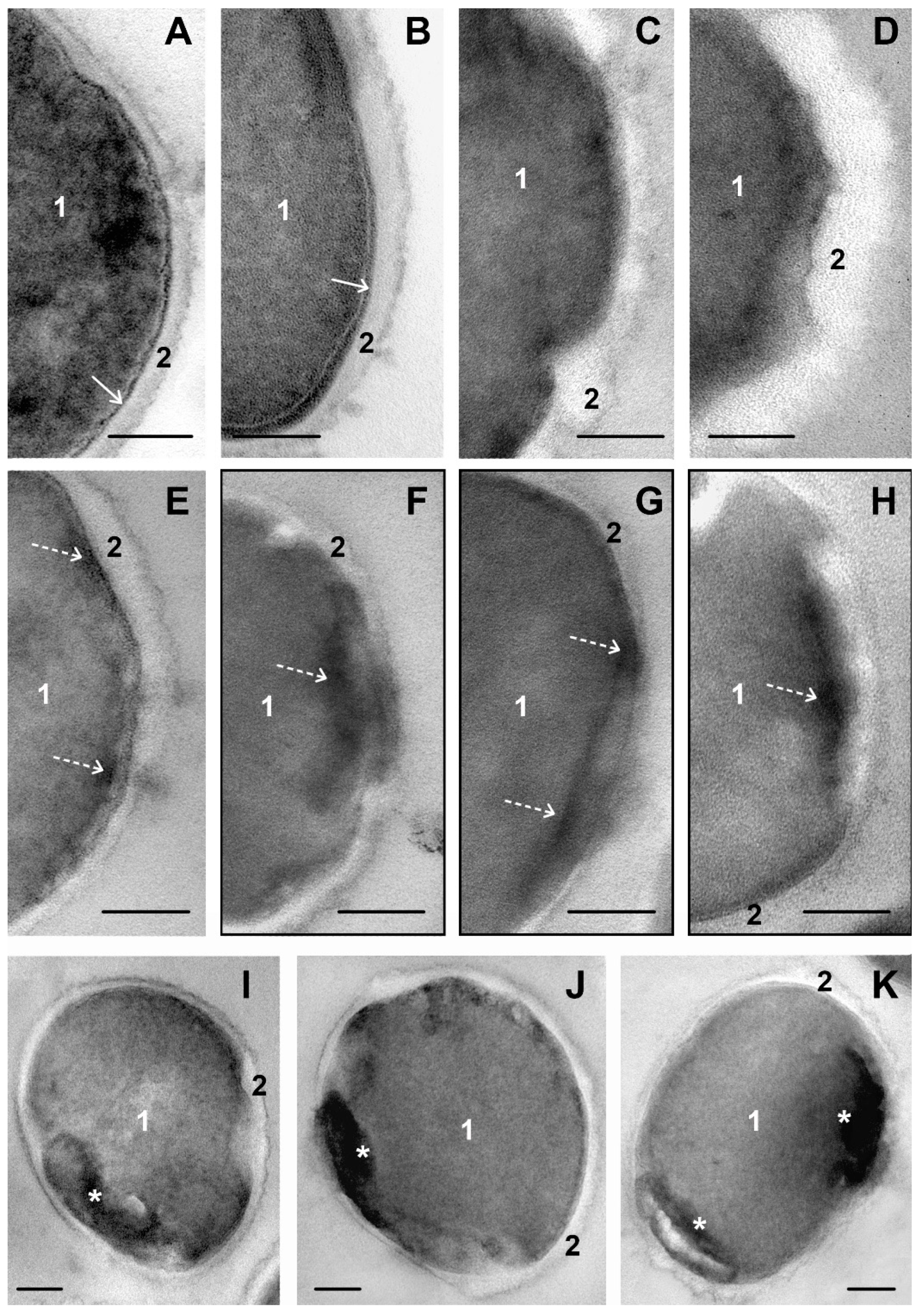 Microorganisms 11 02192 g003