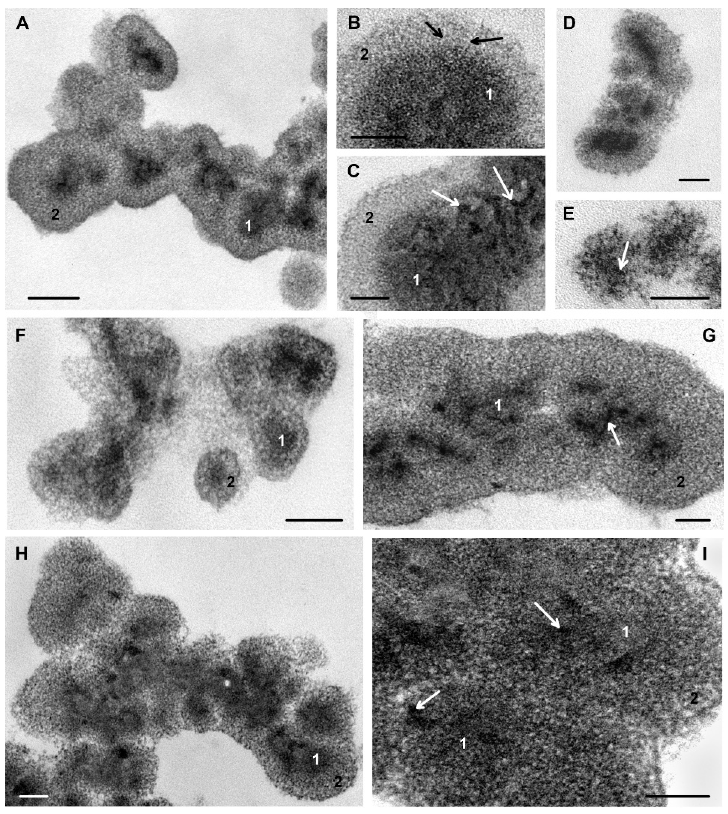 Microorganisms 11 02192 g006