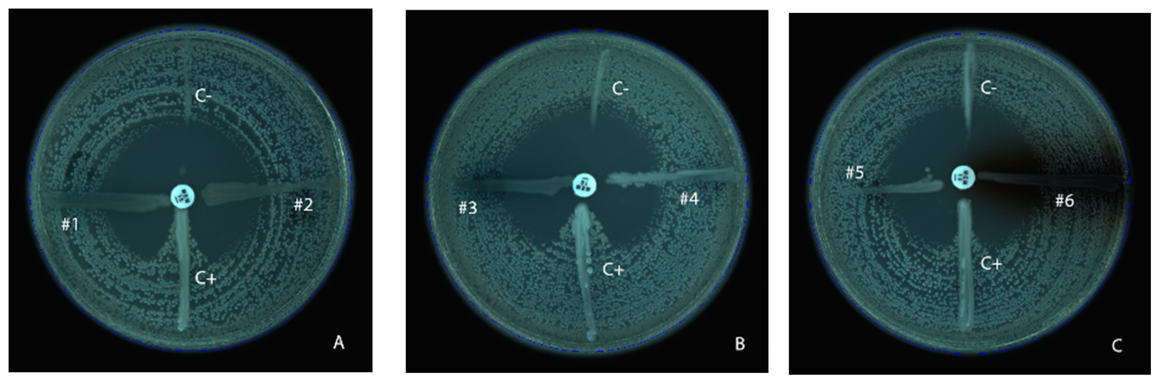 Microorganisms 11 02211 g001