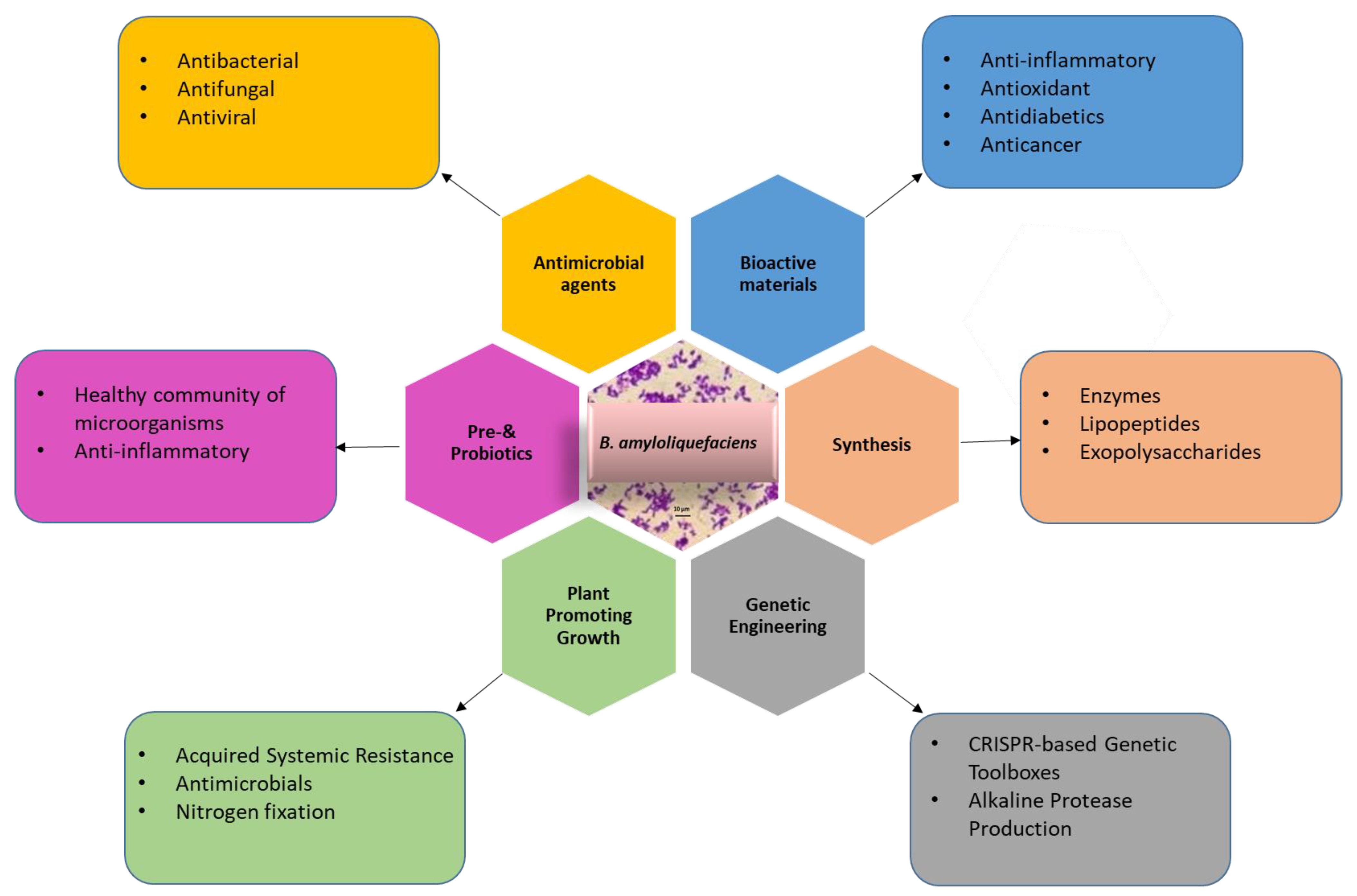 Microorganisms 11 02215 g001