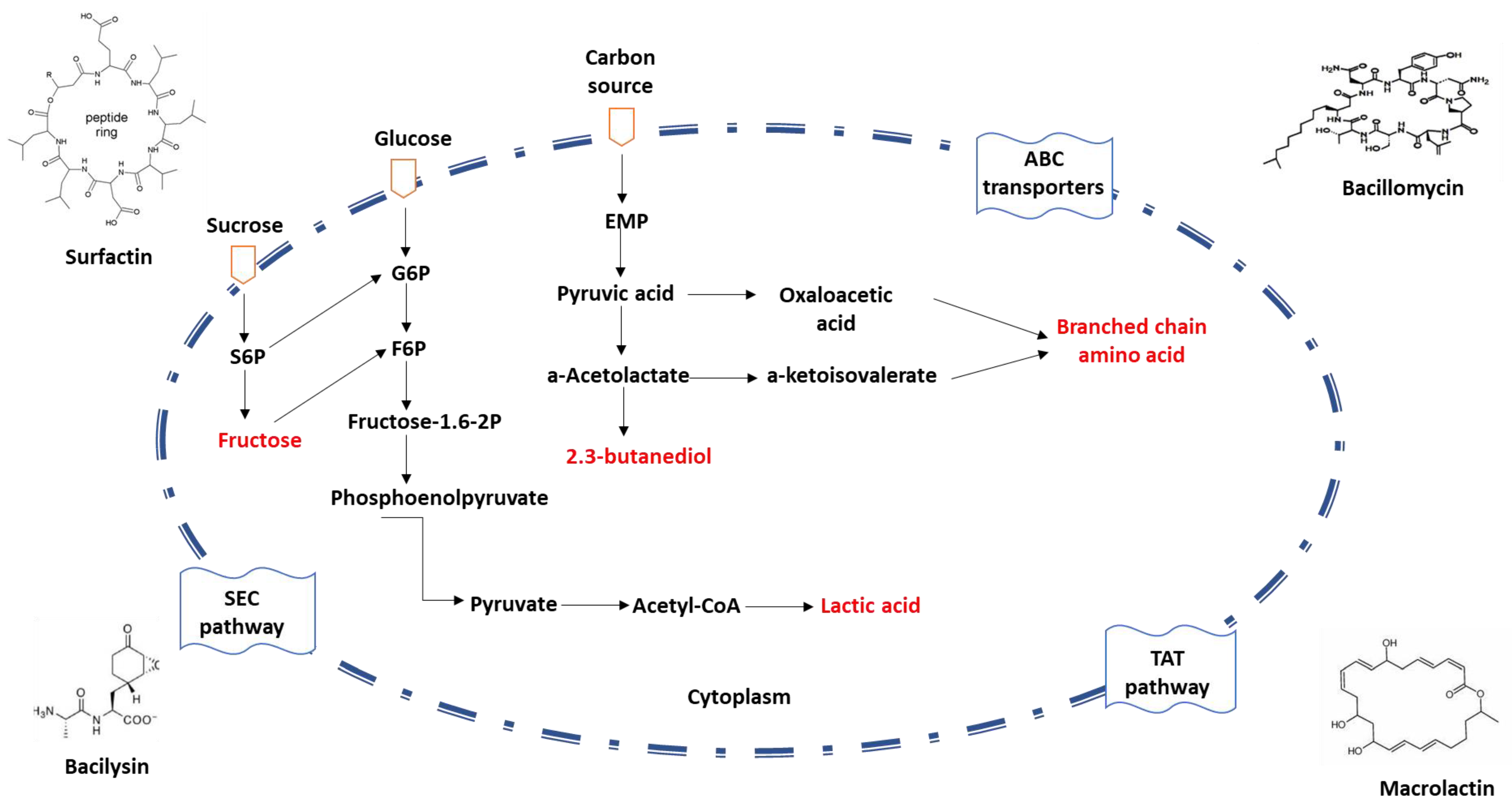 Microorganisms 11 02215 g002