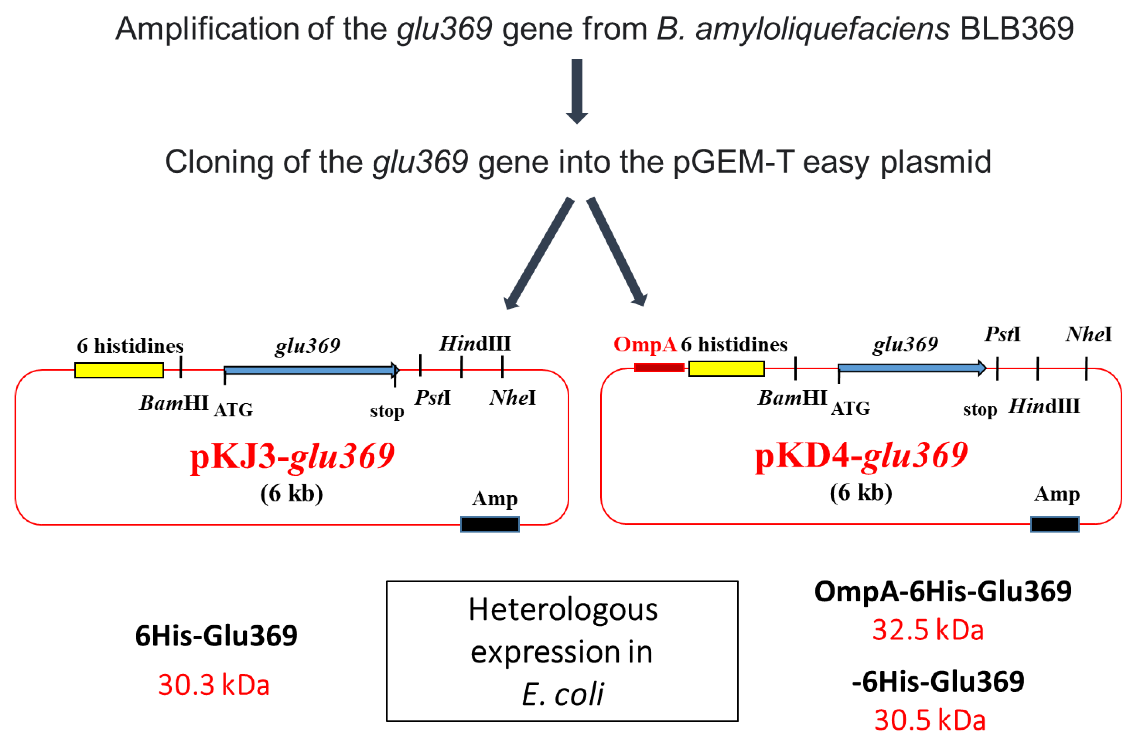 Microorganisms 11 02215 g003
