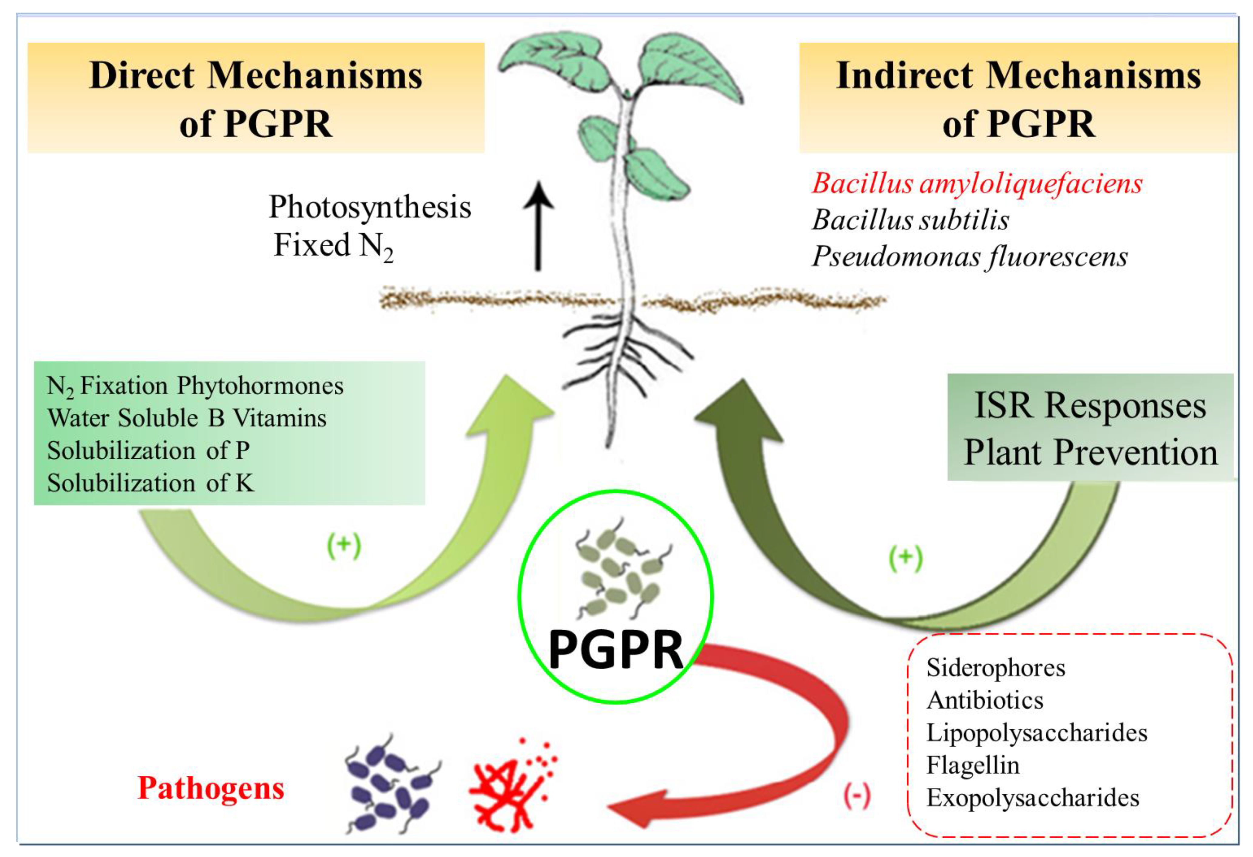 Microorganisms 11 02215 g004