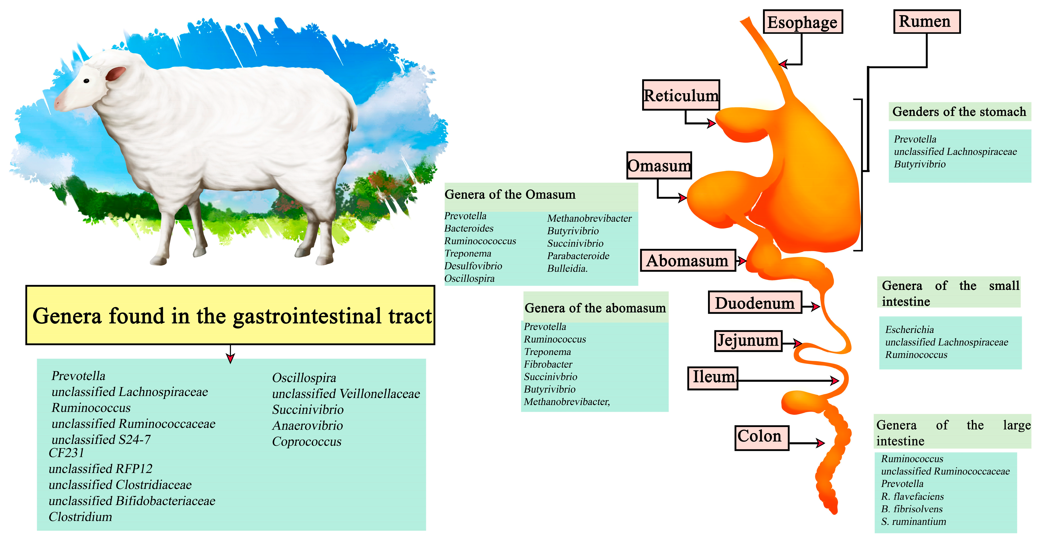 Microorganisms 11 02219 g002