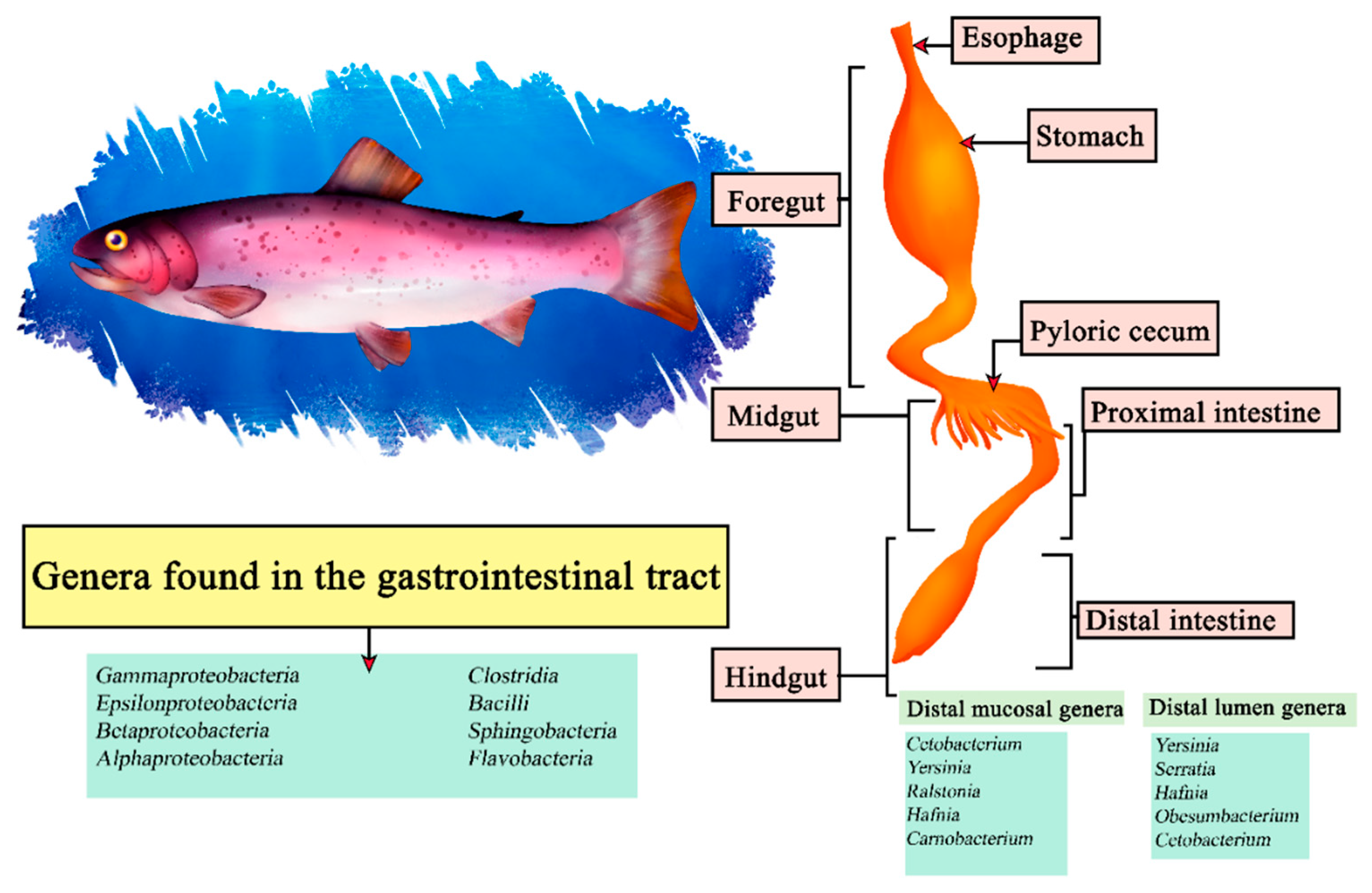 Microorganisms 11 02219 g007