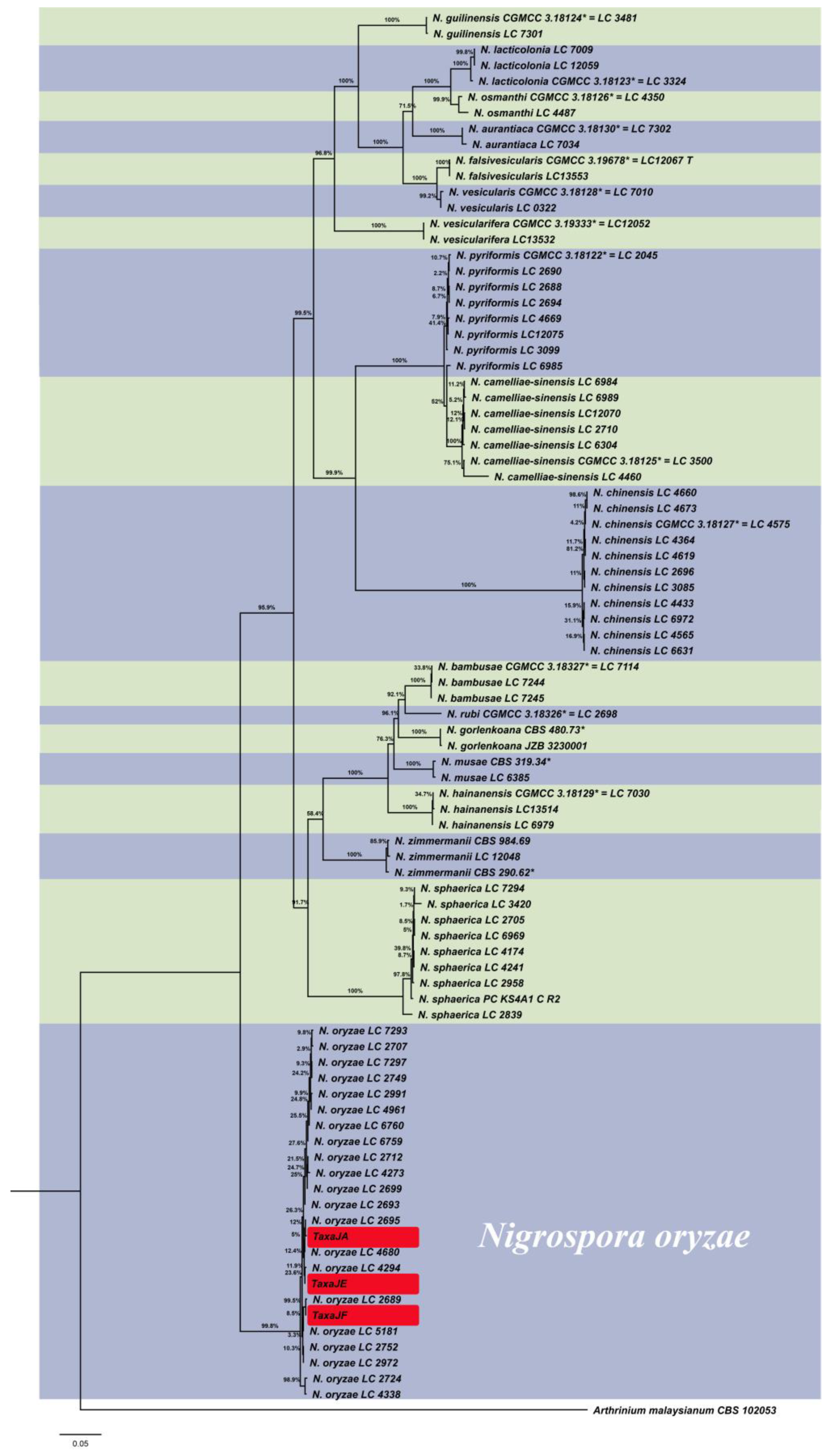 Microorganisms 11 02224 g003