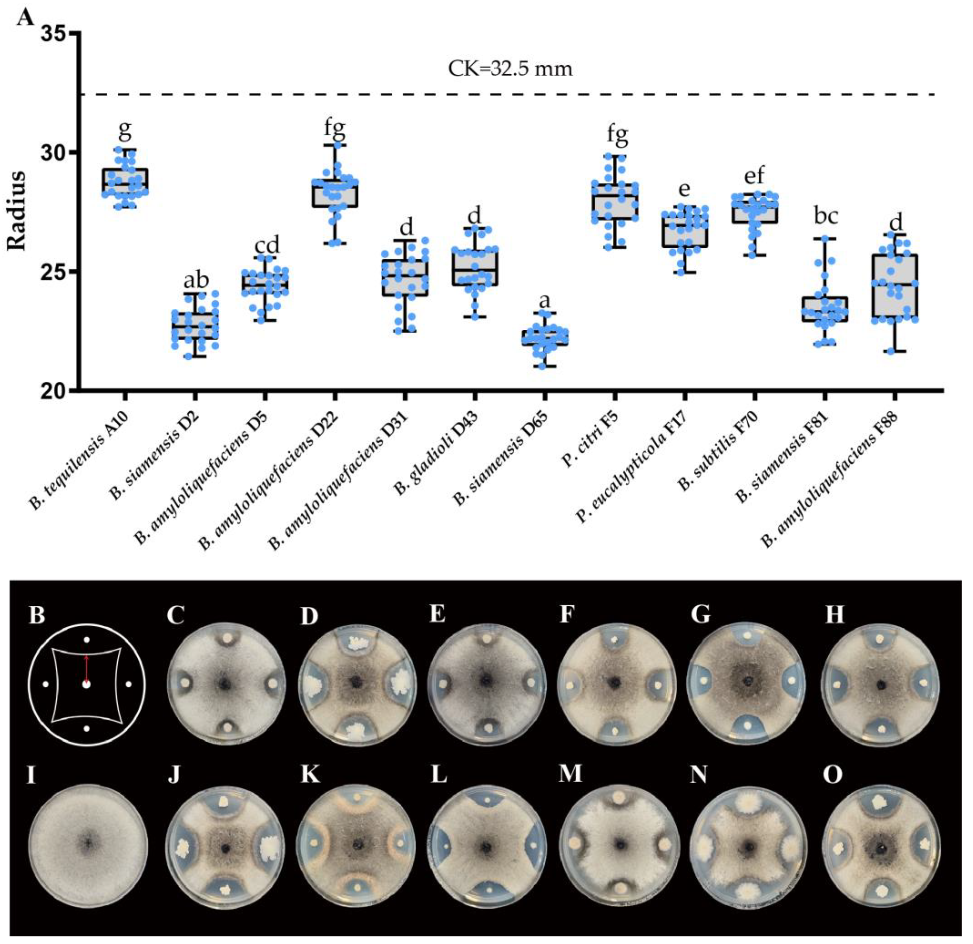 Microorganisms 11 02224 g004