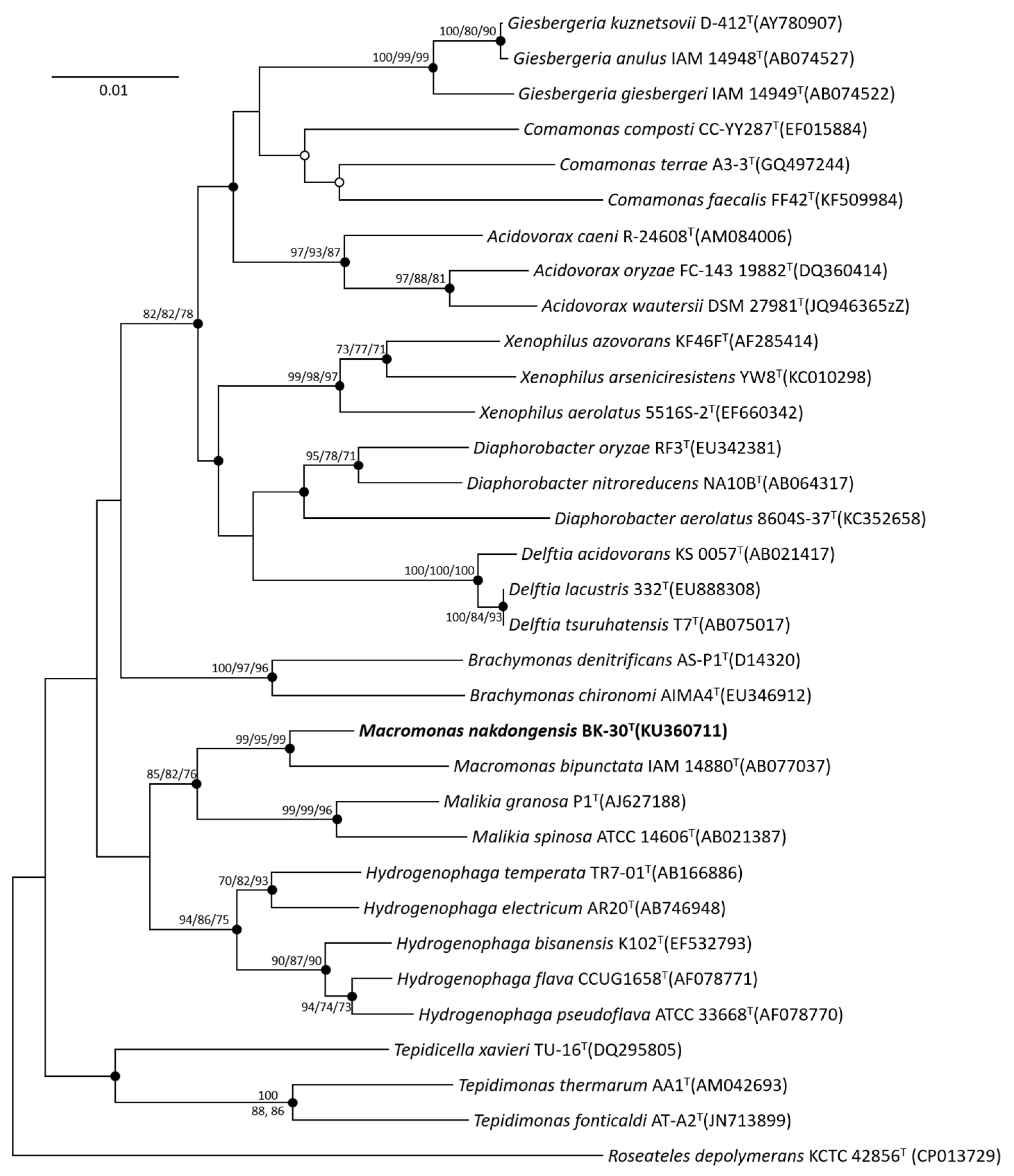 Microorganisms 11 02237 g001
