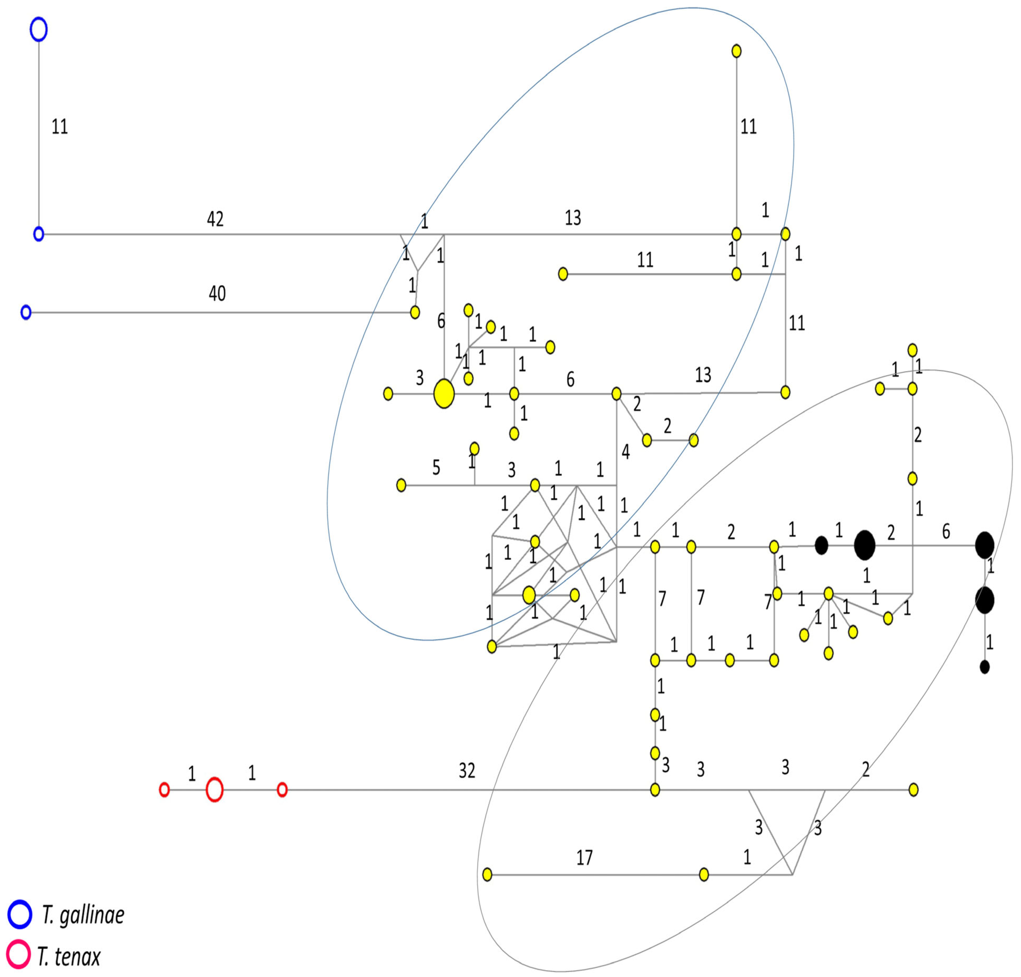 Microorganisms 11 02240 g001