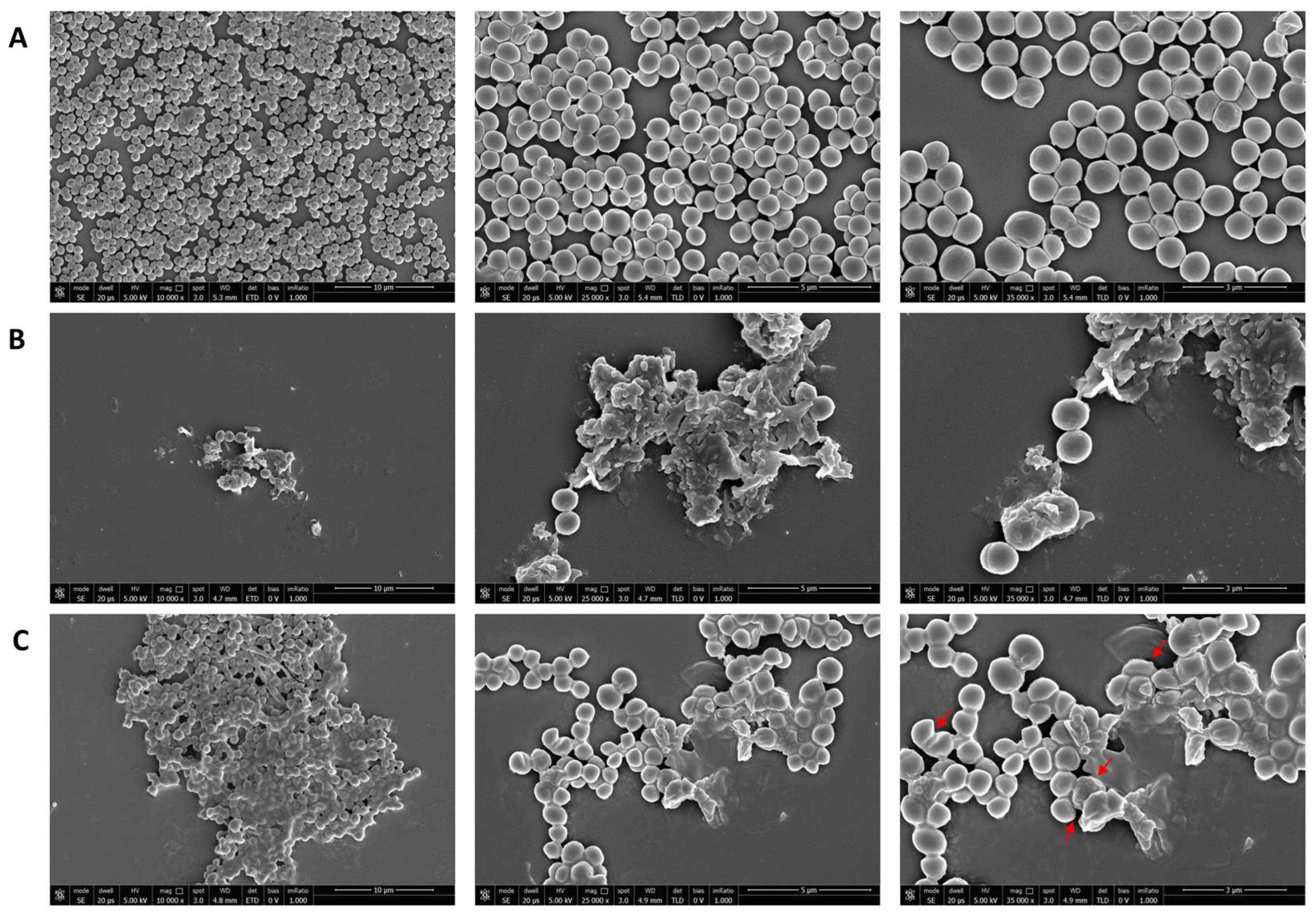Microorganisms 11 02242 g007 Microorganisms 11 02242 g007