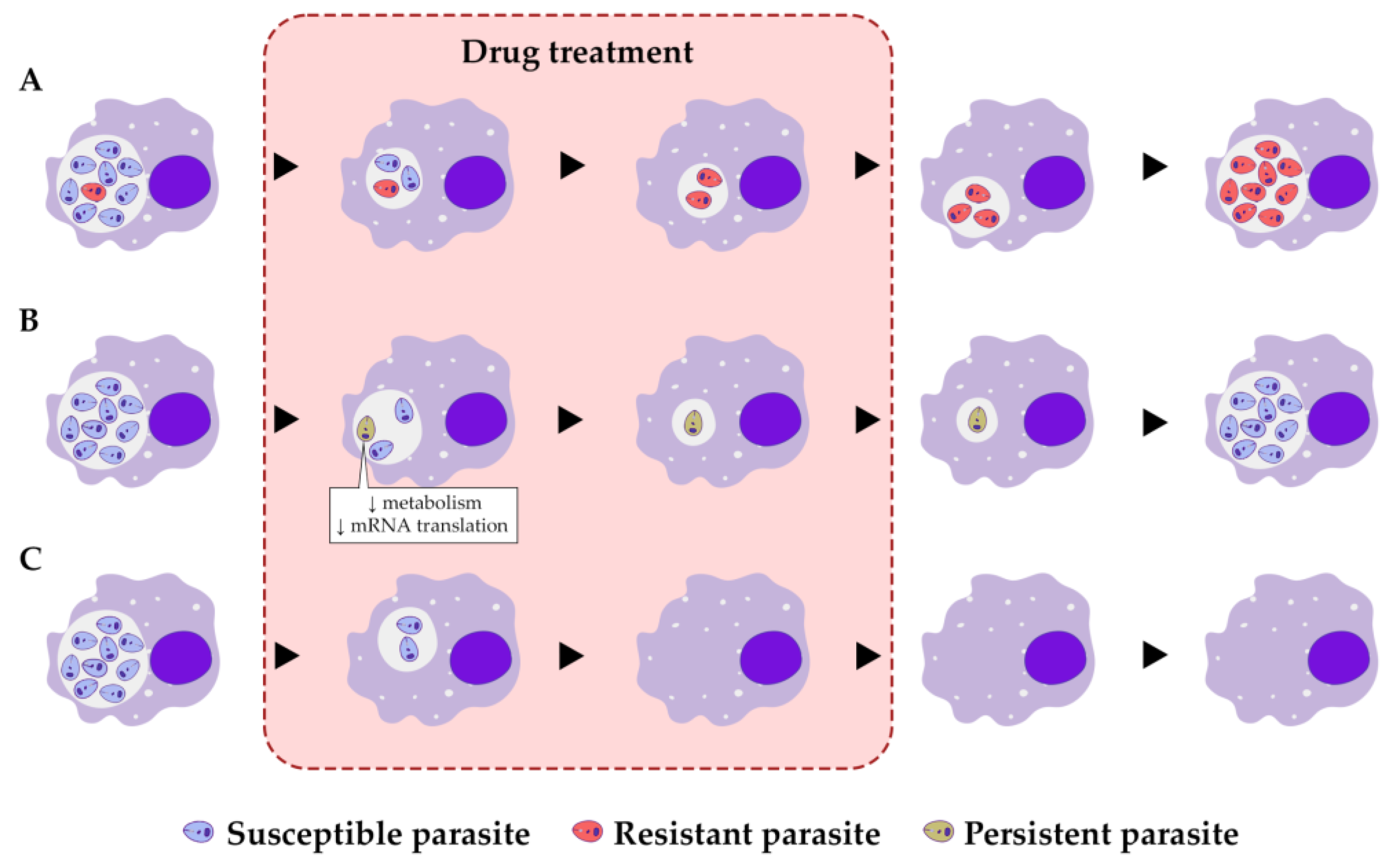 Microorganisms 11 02248 g001