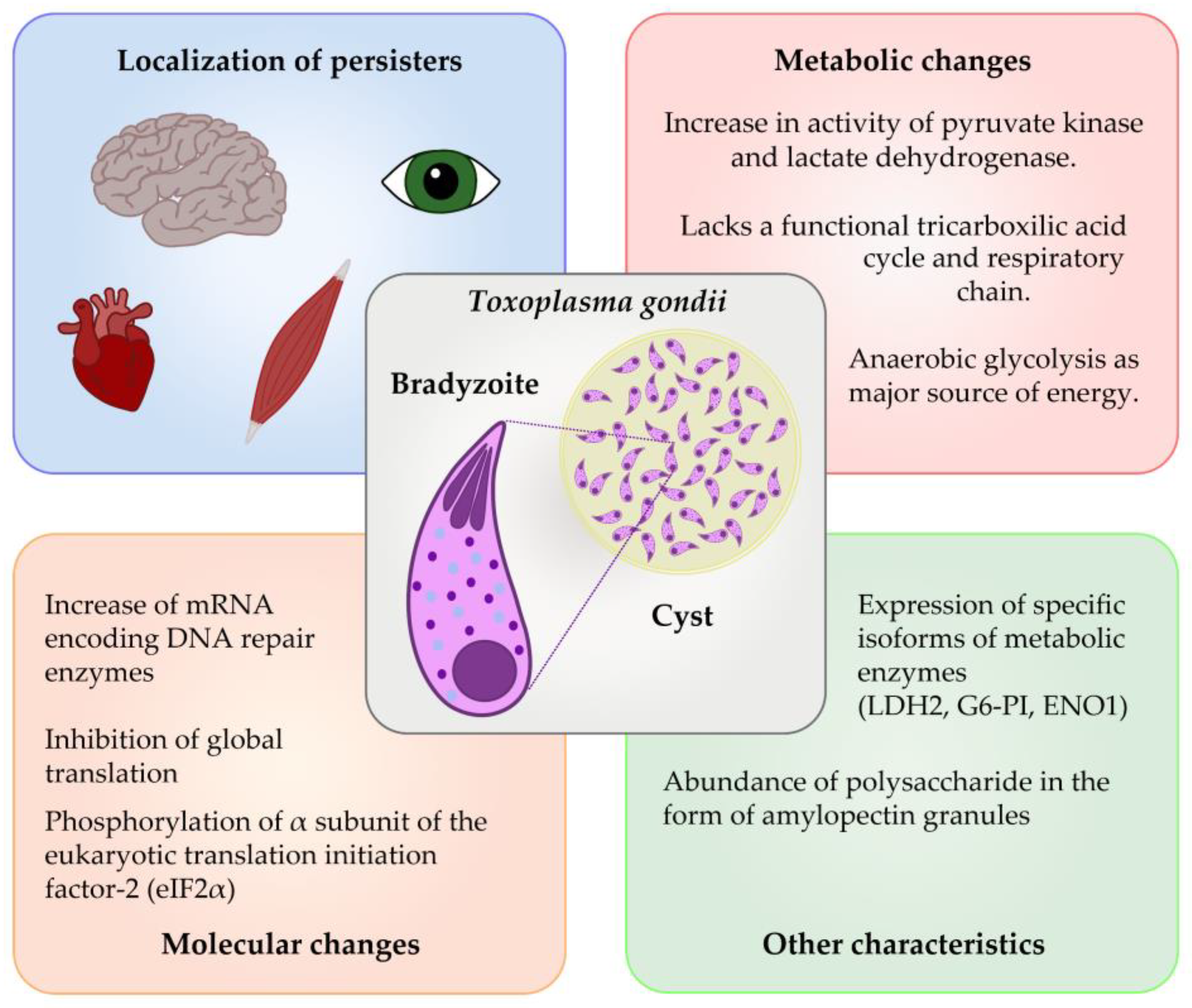 Microorganisms 11 02248 g002