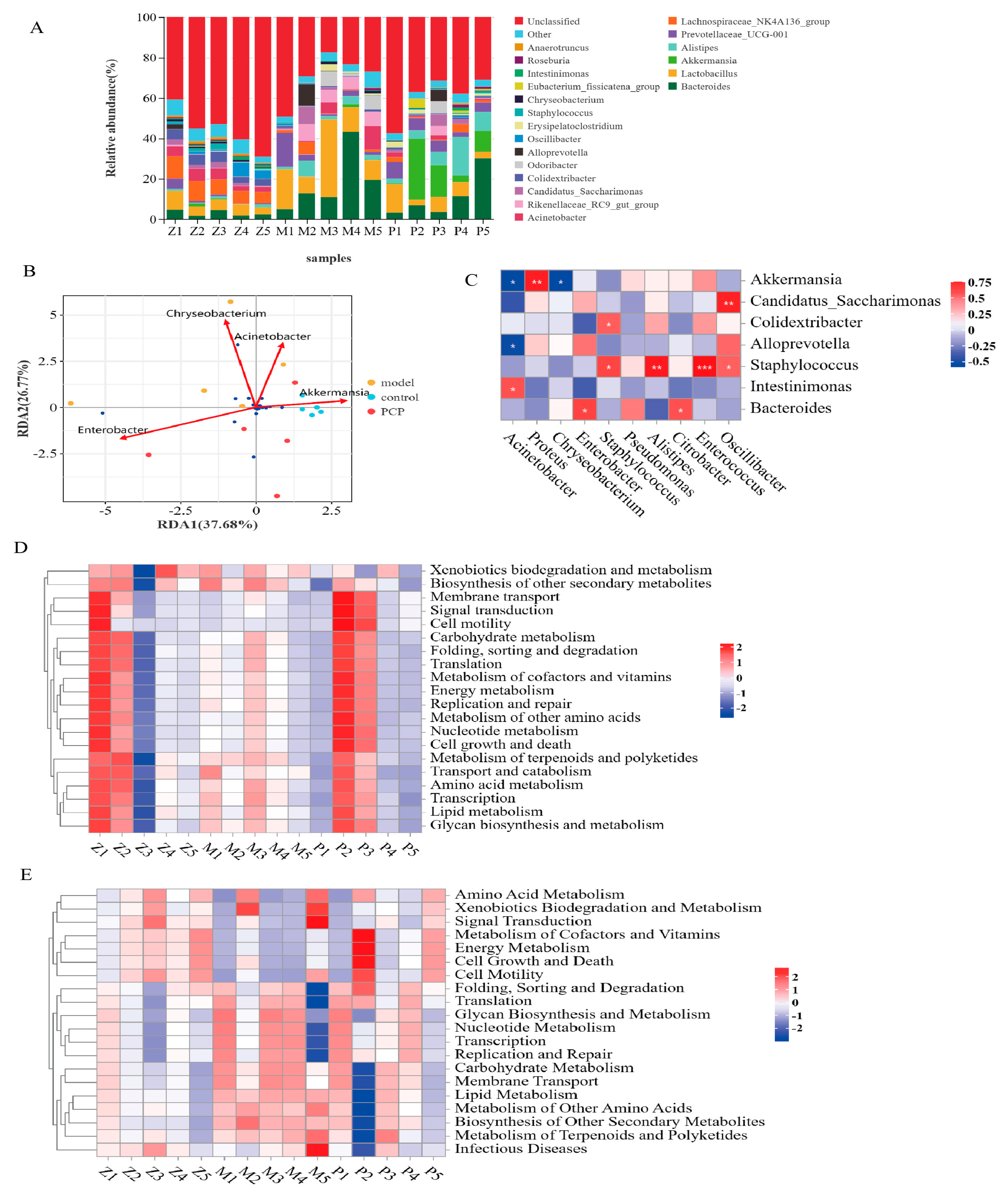 Microorganisms 11 02249 g004