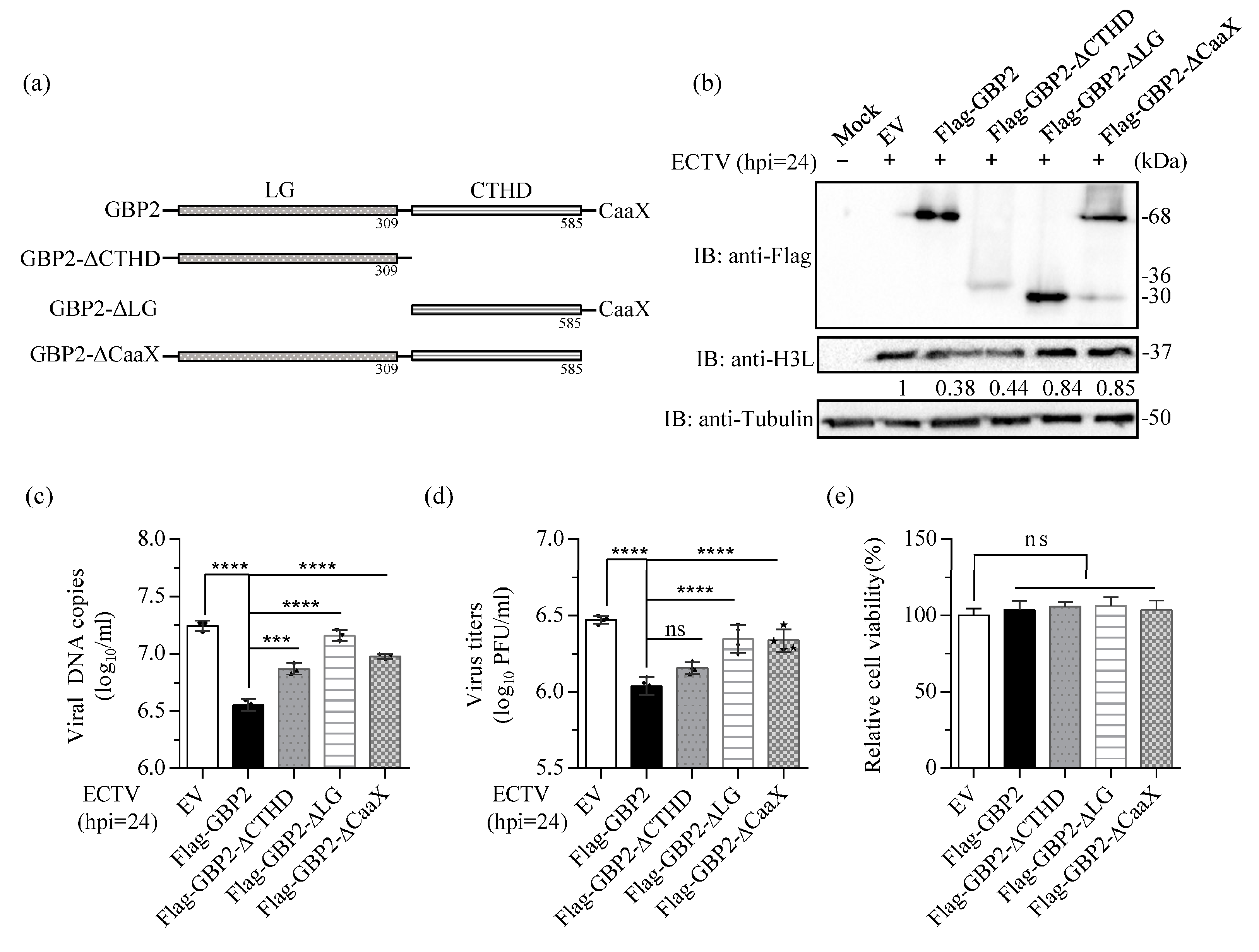 Microorganisms 11 02258 g004