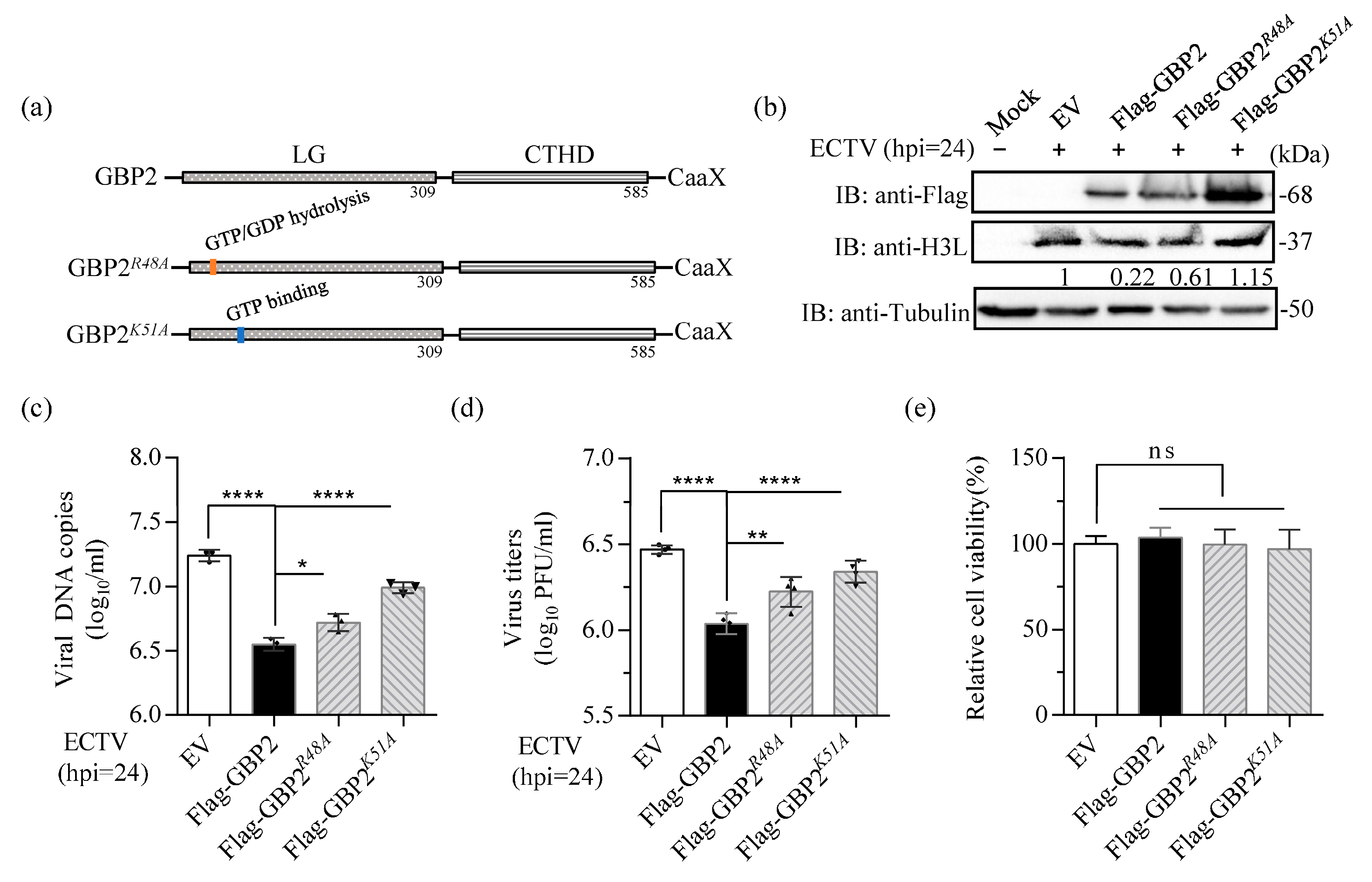 Microorganisms 11 02258 g005