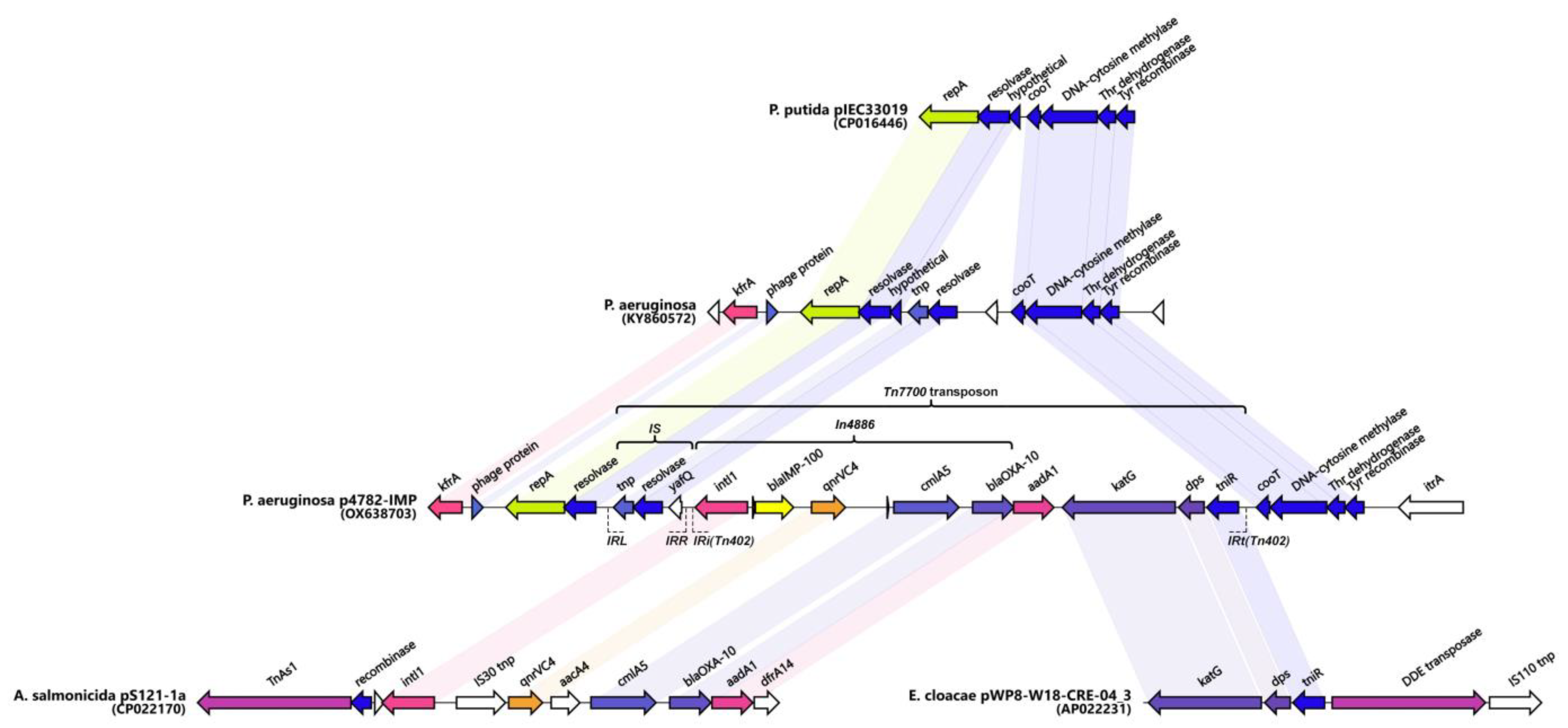 Microorganisms 11 02270 g005
