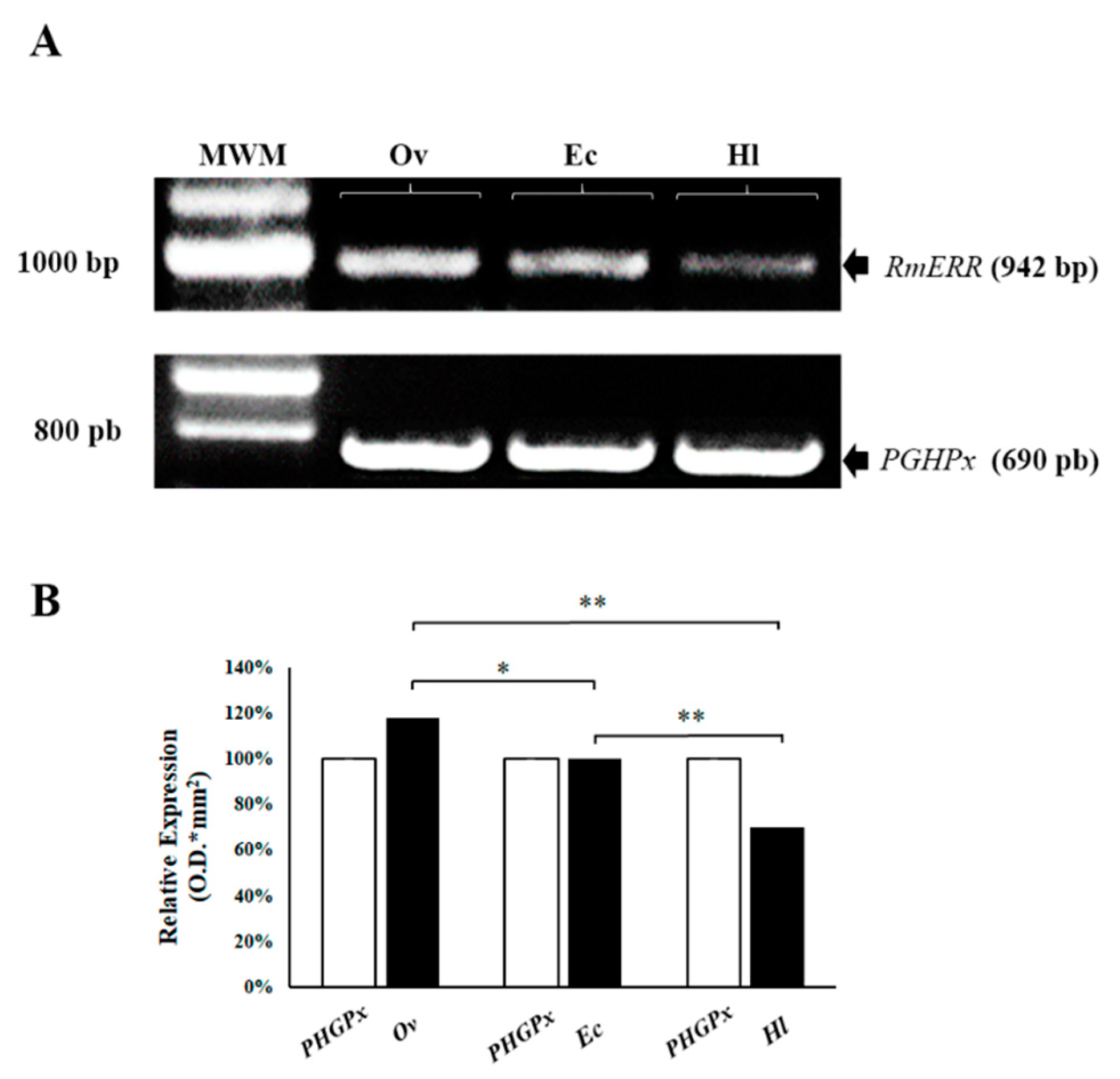 Microorganisms 11 02294 g001
