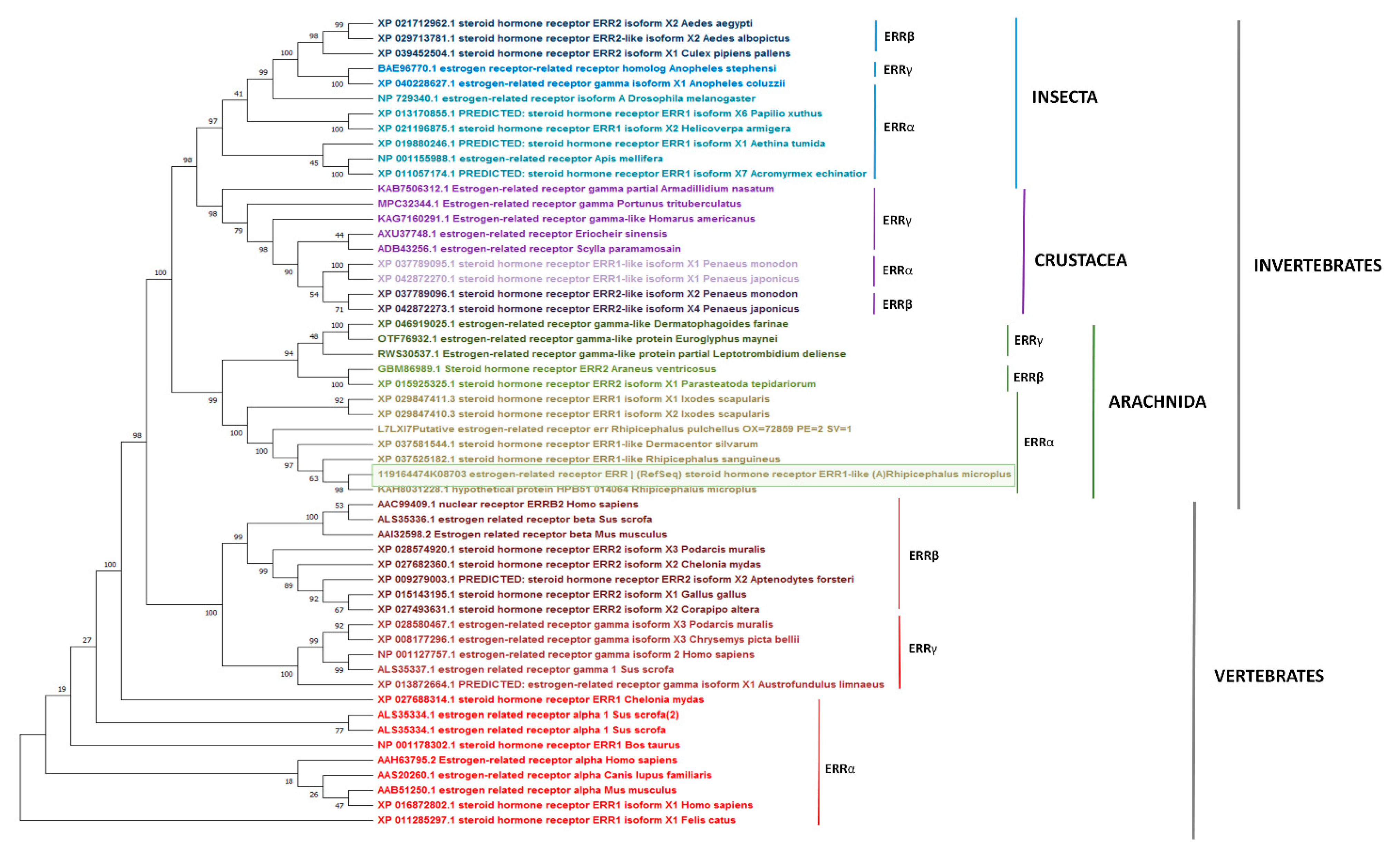 Microorganisms 11 02294 g005