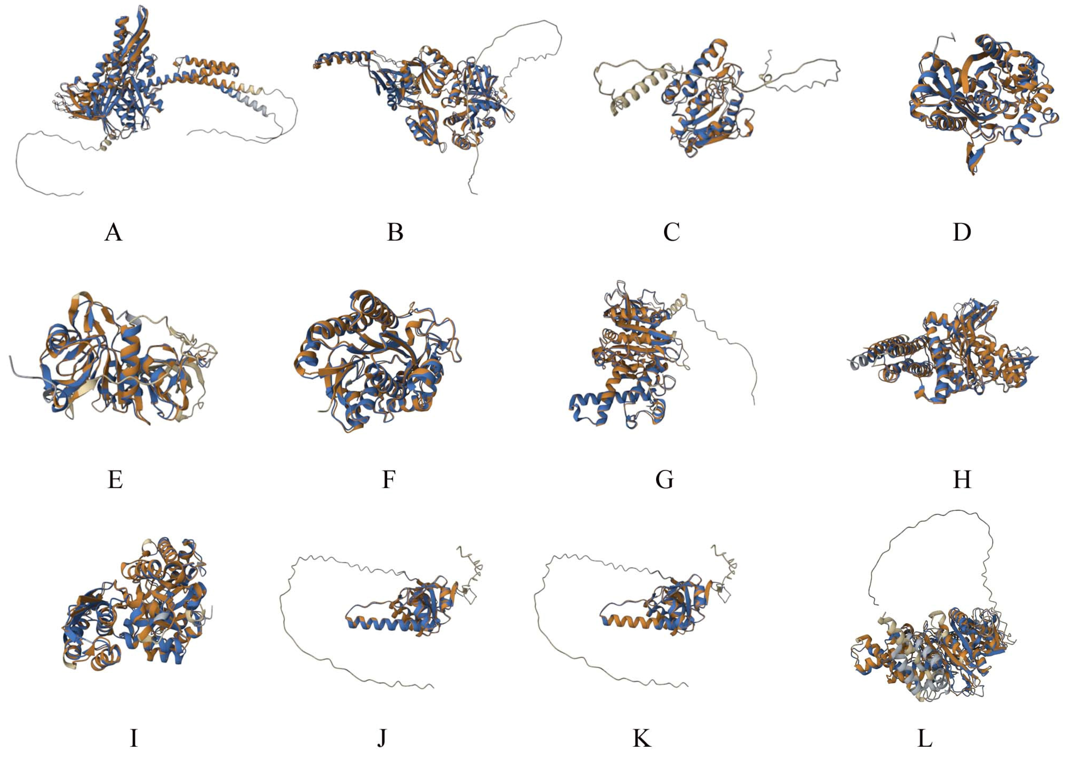 Microorganisms 11 02300 g001 Microorganisms 11 02300 g001