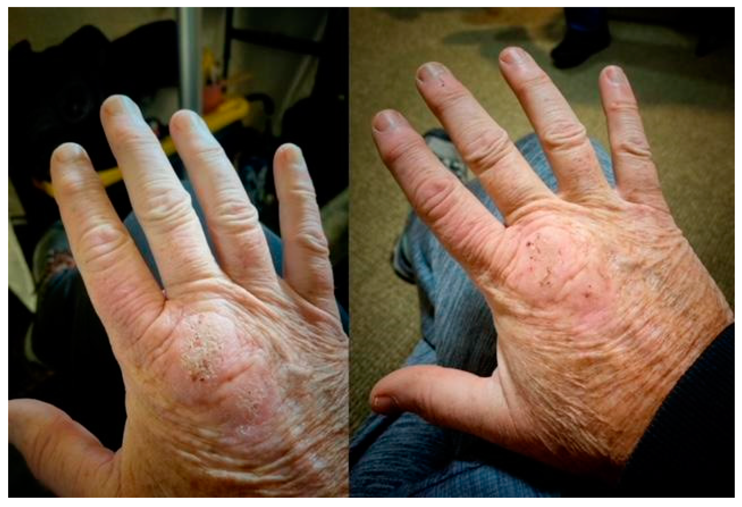 Microorganisms 11 02301 g002