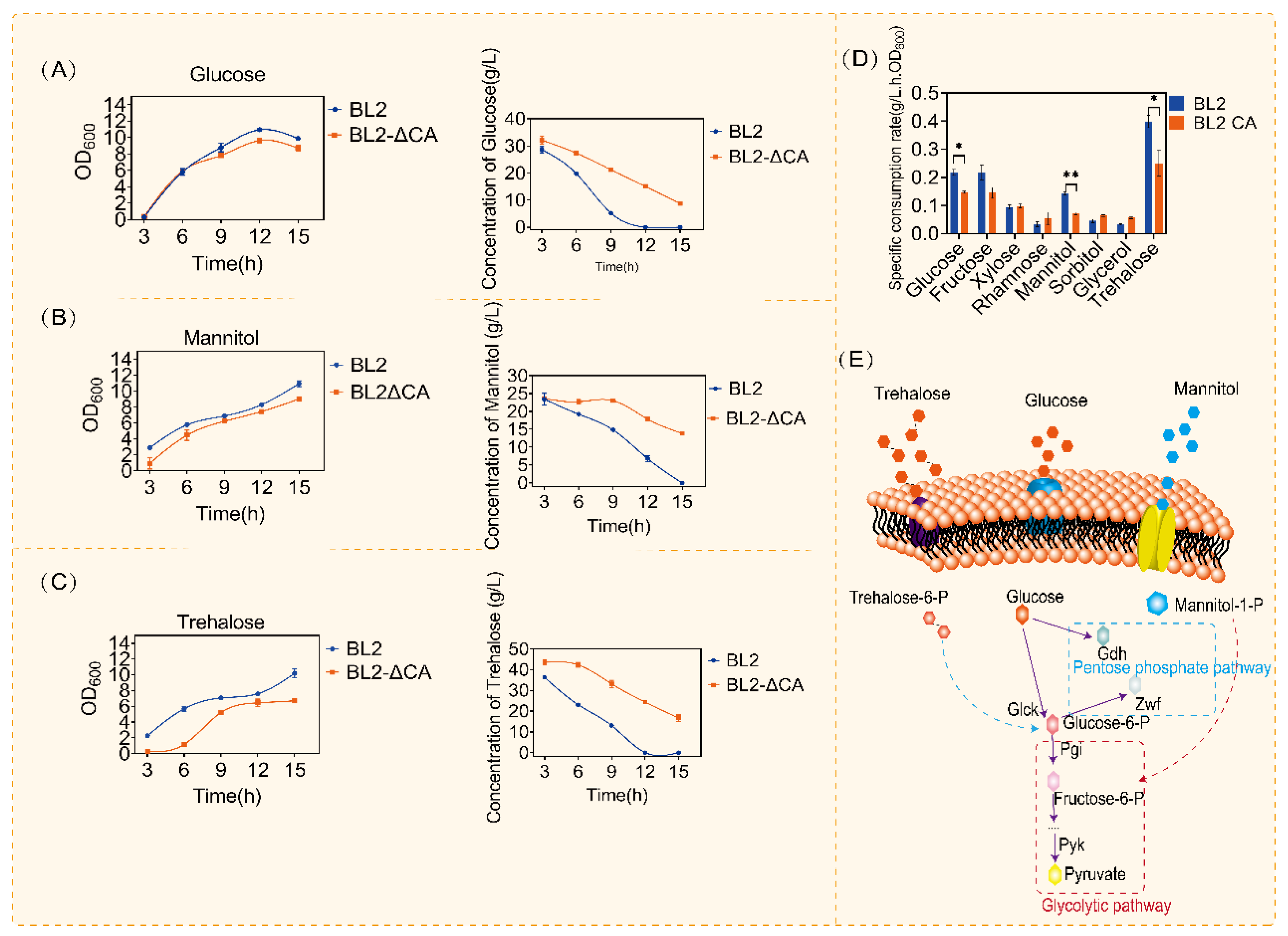 Microorganisms 11 02303 g001