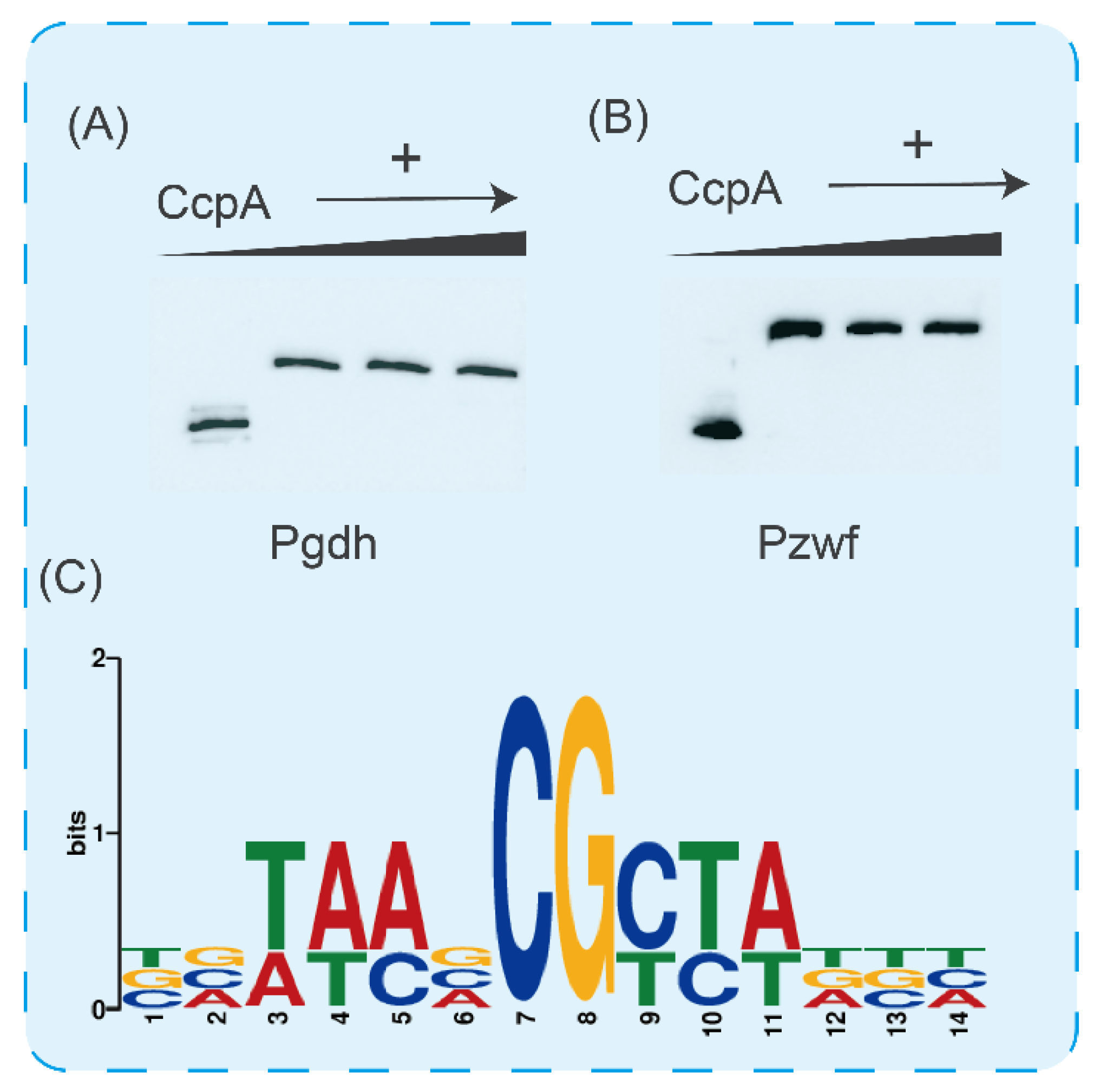 Microorganisms 11 02303 g006