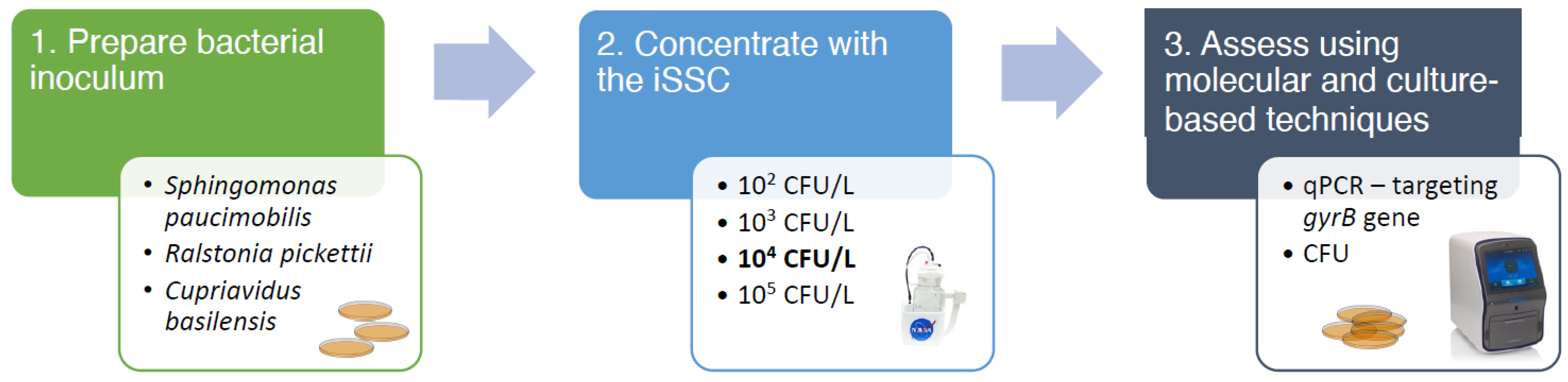 Microorganisms 11 02310 g002 Microorganisms 11 02310 g002