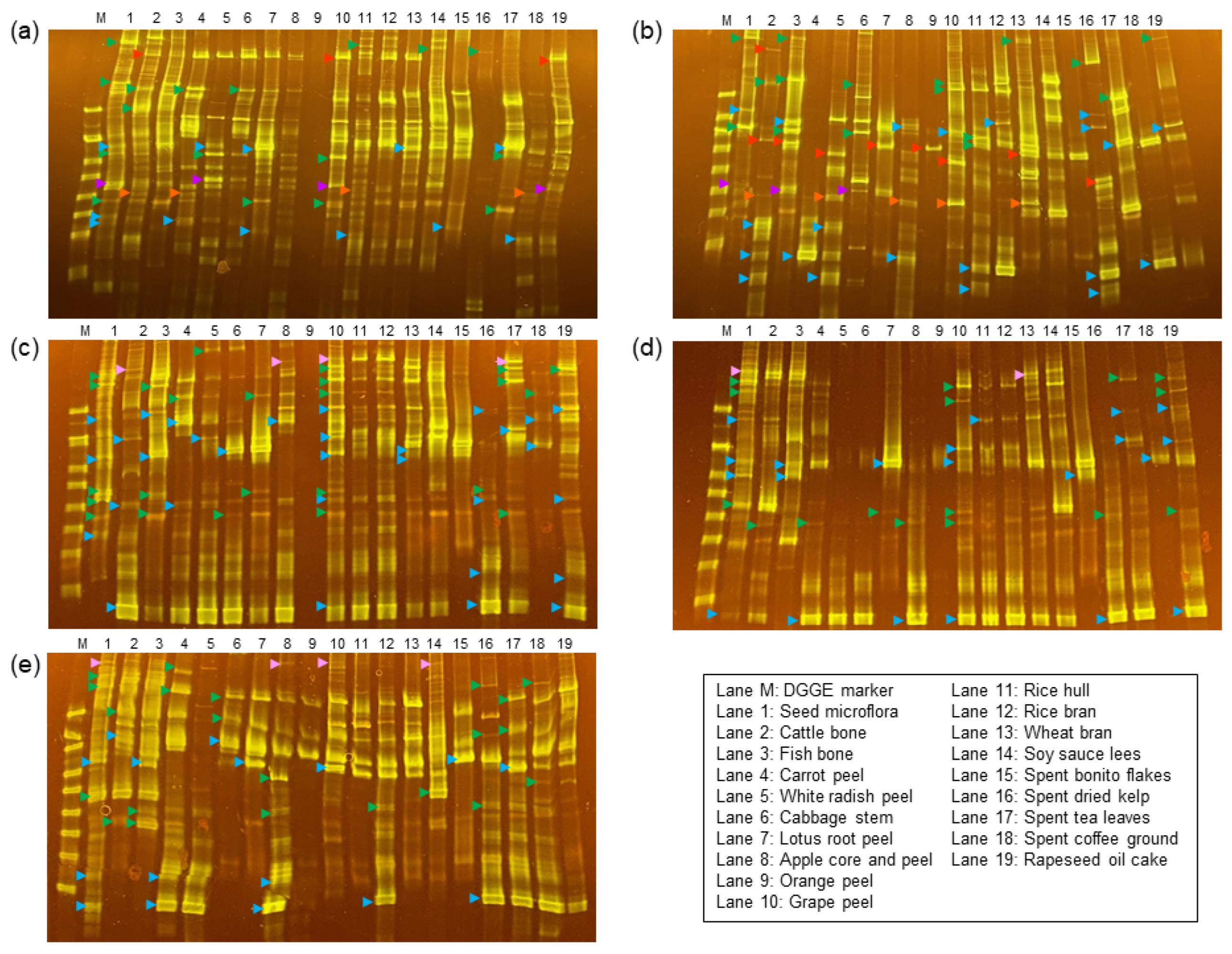 Microorganisms 11 02321 g001