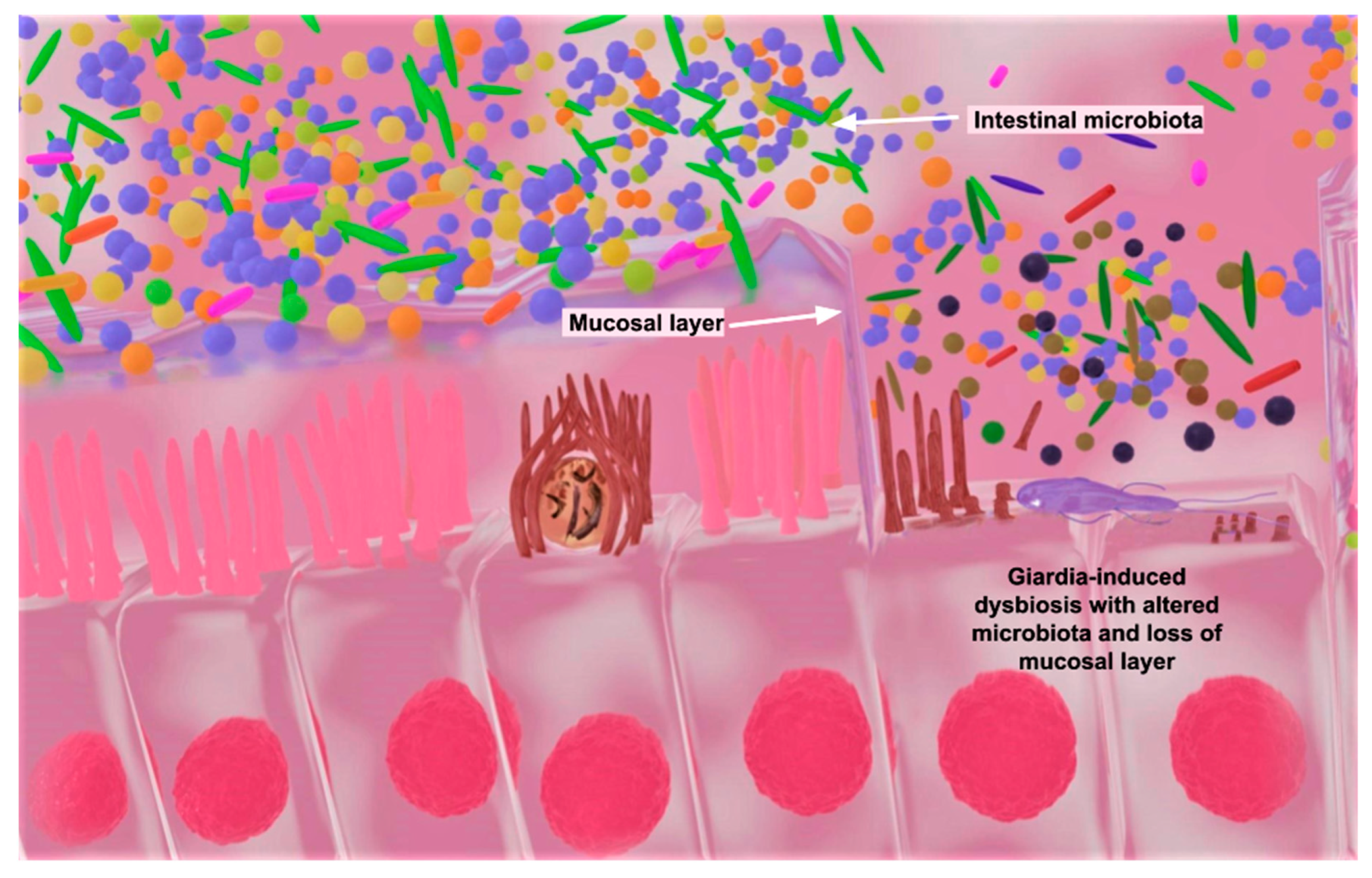 Microorganisms 11 02323 g002