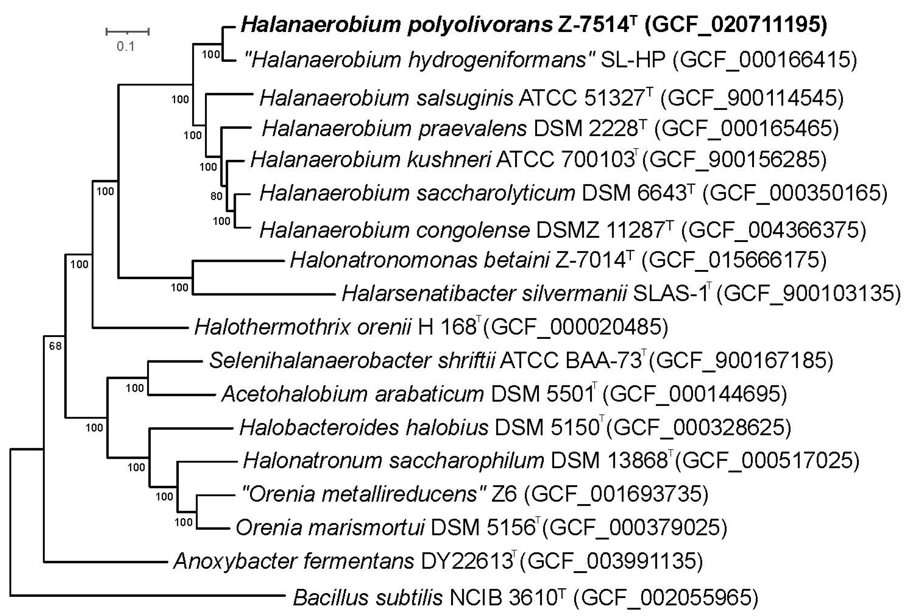 Microorganisms 11 02325 g003 Microorganisms 11 02325 g003