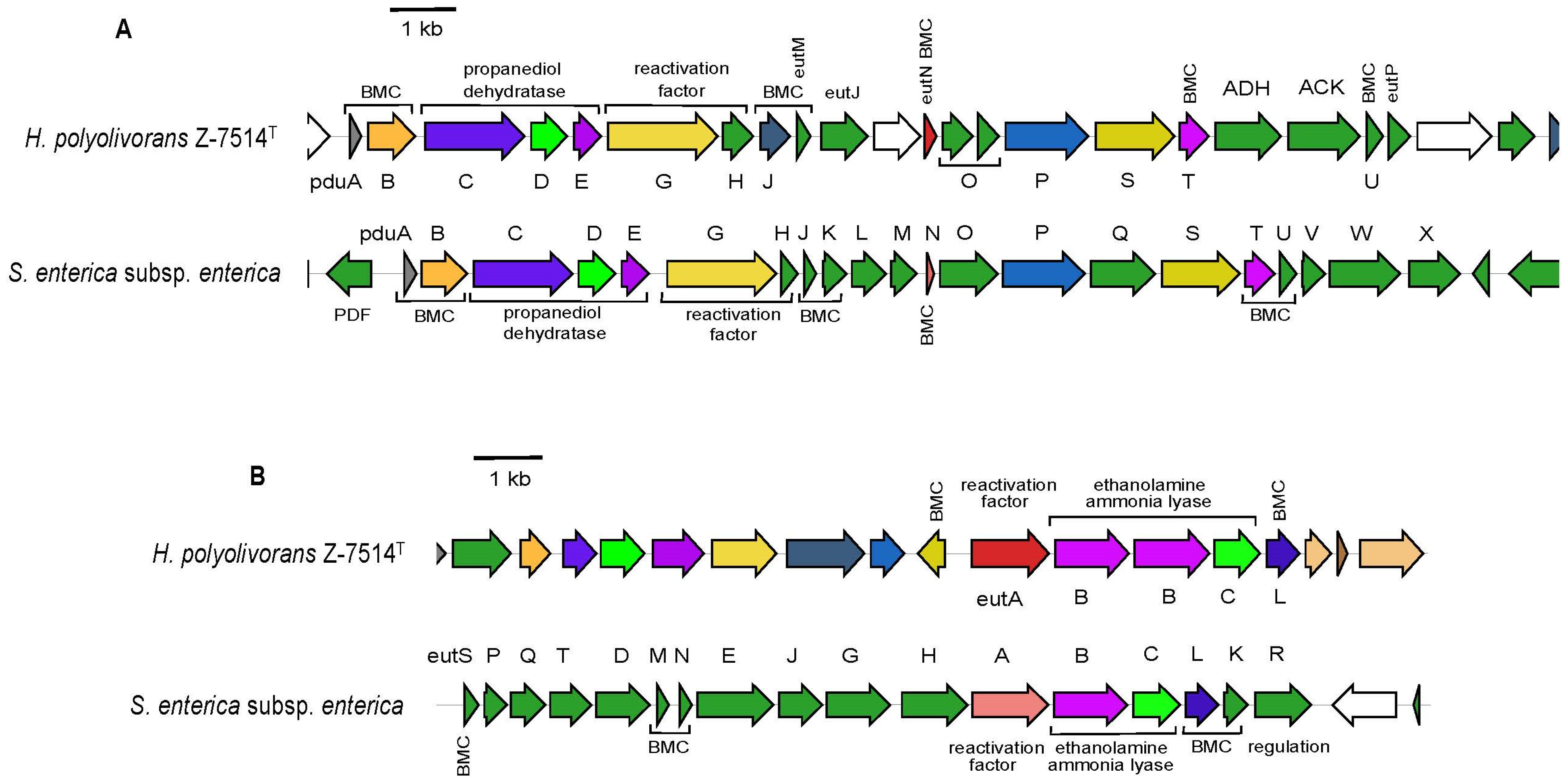 Microorganisms 11 02325 g005 Microorganisms 11 02325 g005
