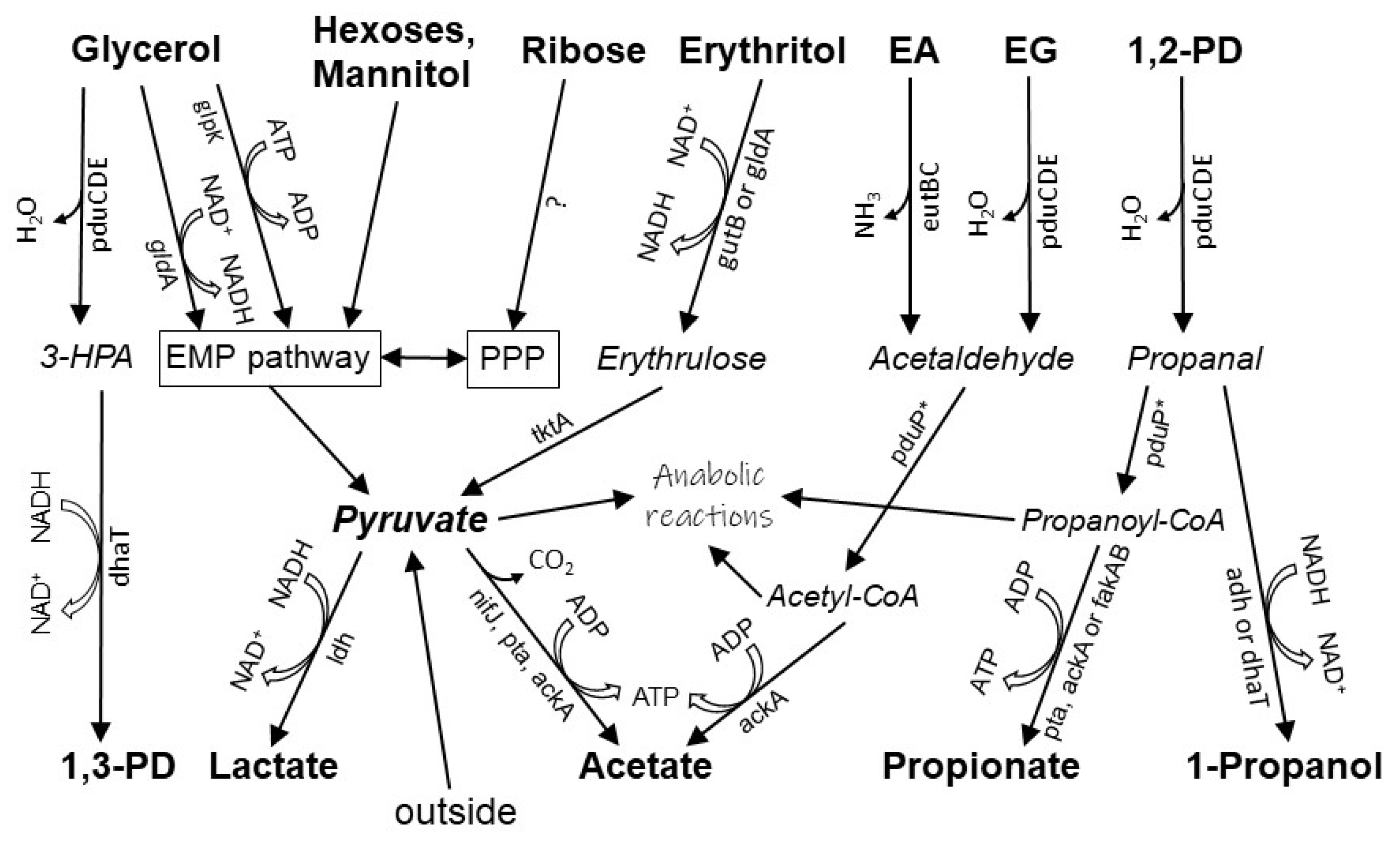 Microorganisms 11 02325 g006 Microorganisms 11 02325 g006