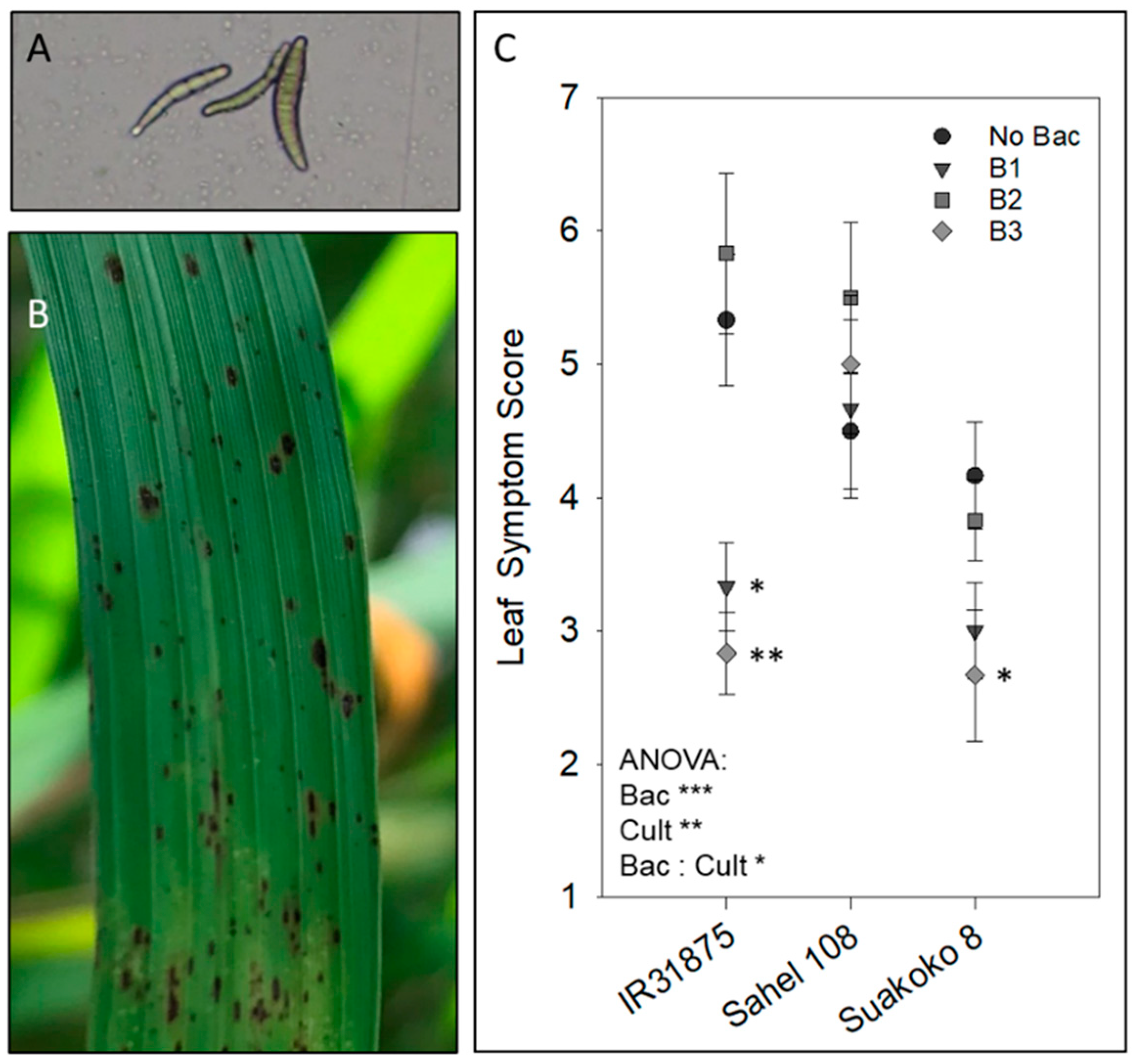 Microorganisms 11 02327 g001