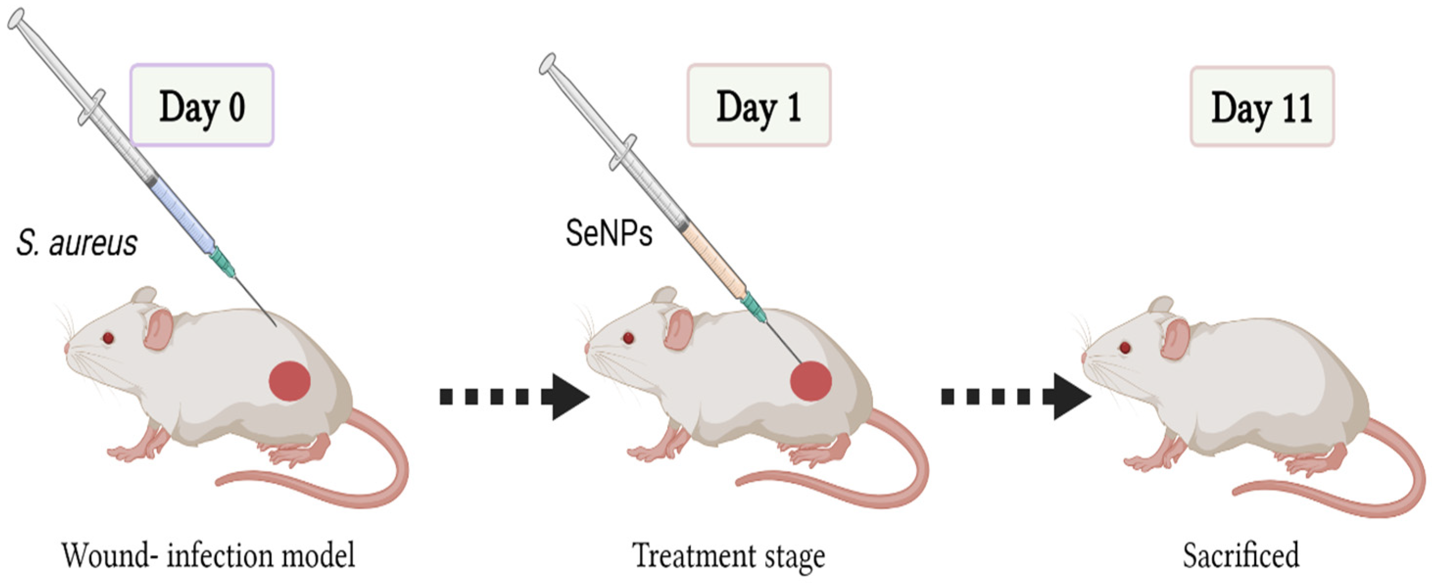 Microorganisms 11 02341 g001