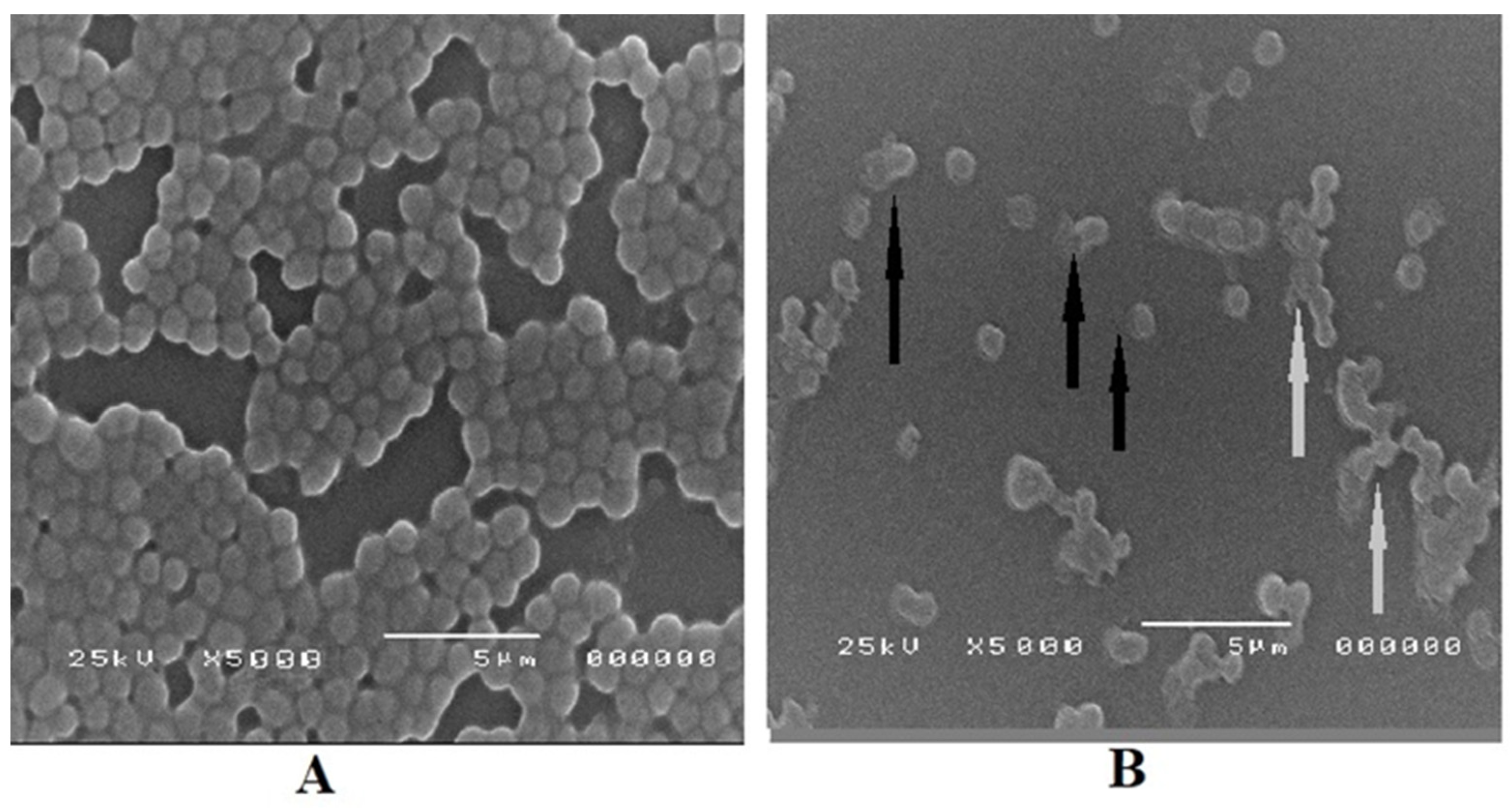 Microorganisms 11 02341 g006