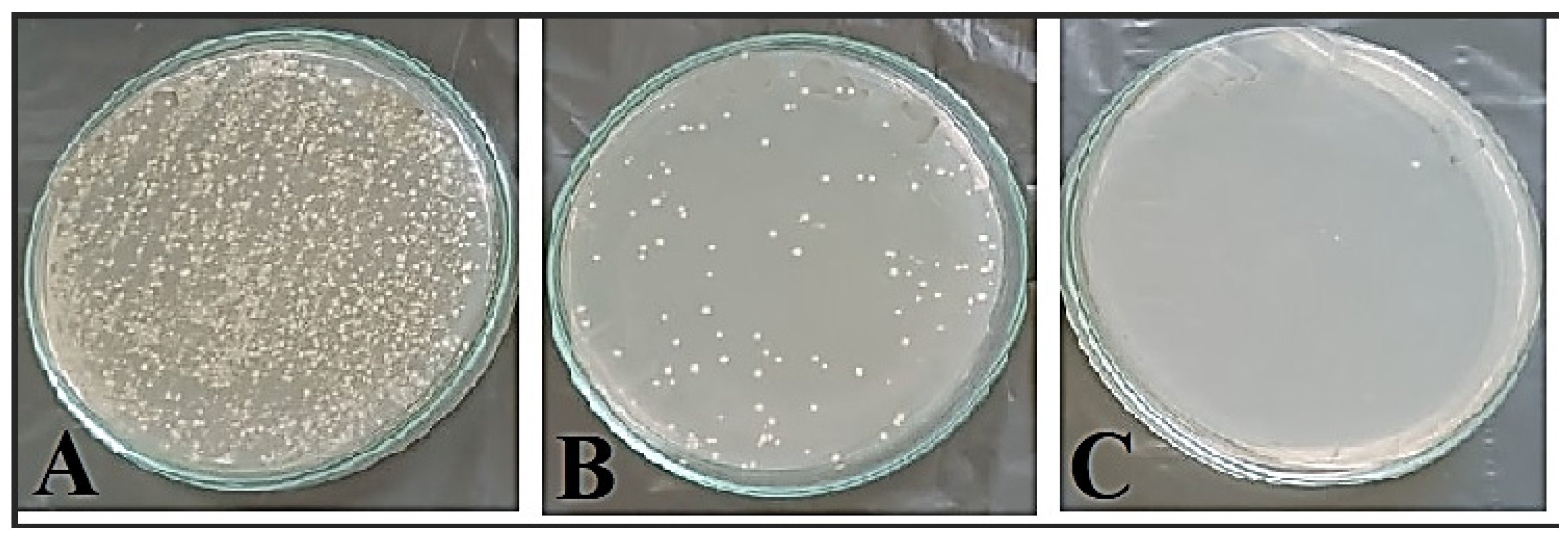 Microorganisms 11 02341 g007