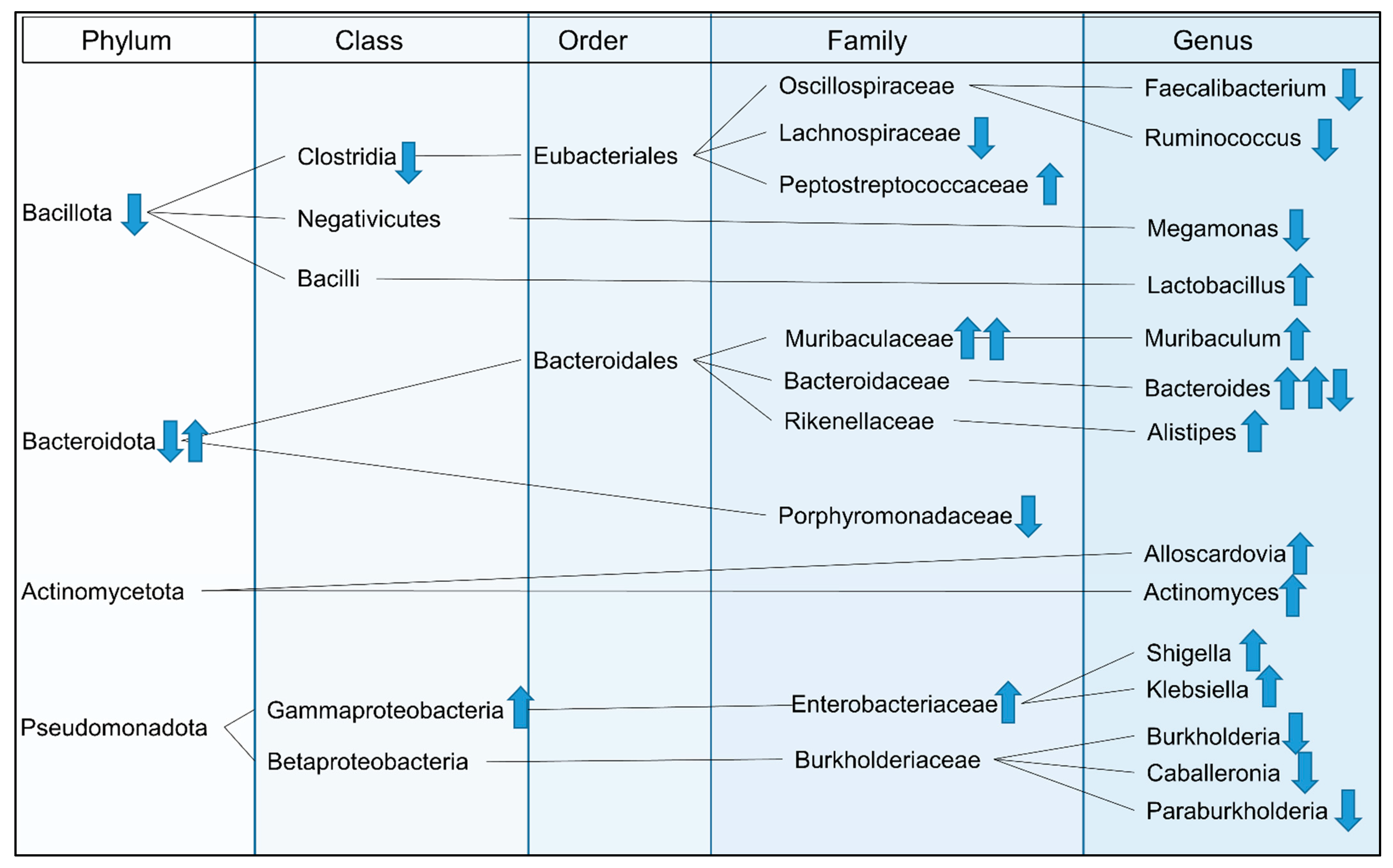 Microorganisms 11 02363 g004 Microorganisms 11 02363 g004