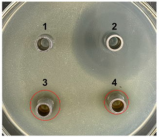 Microorganisms 11 02371 i003 Microorganisms 11 02371 i003