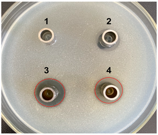 Microorganisms 11 02371 i005 Microorganisms 11 02371 i005