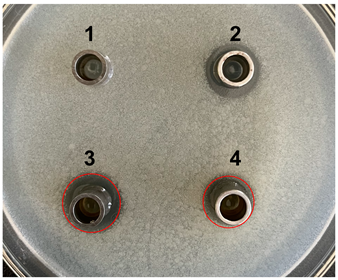 Microorganisms 11 02371 i006 Microorganisms 11 02371 i006