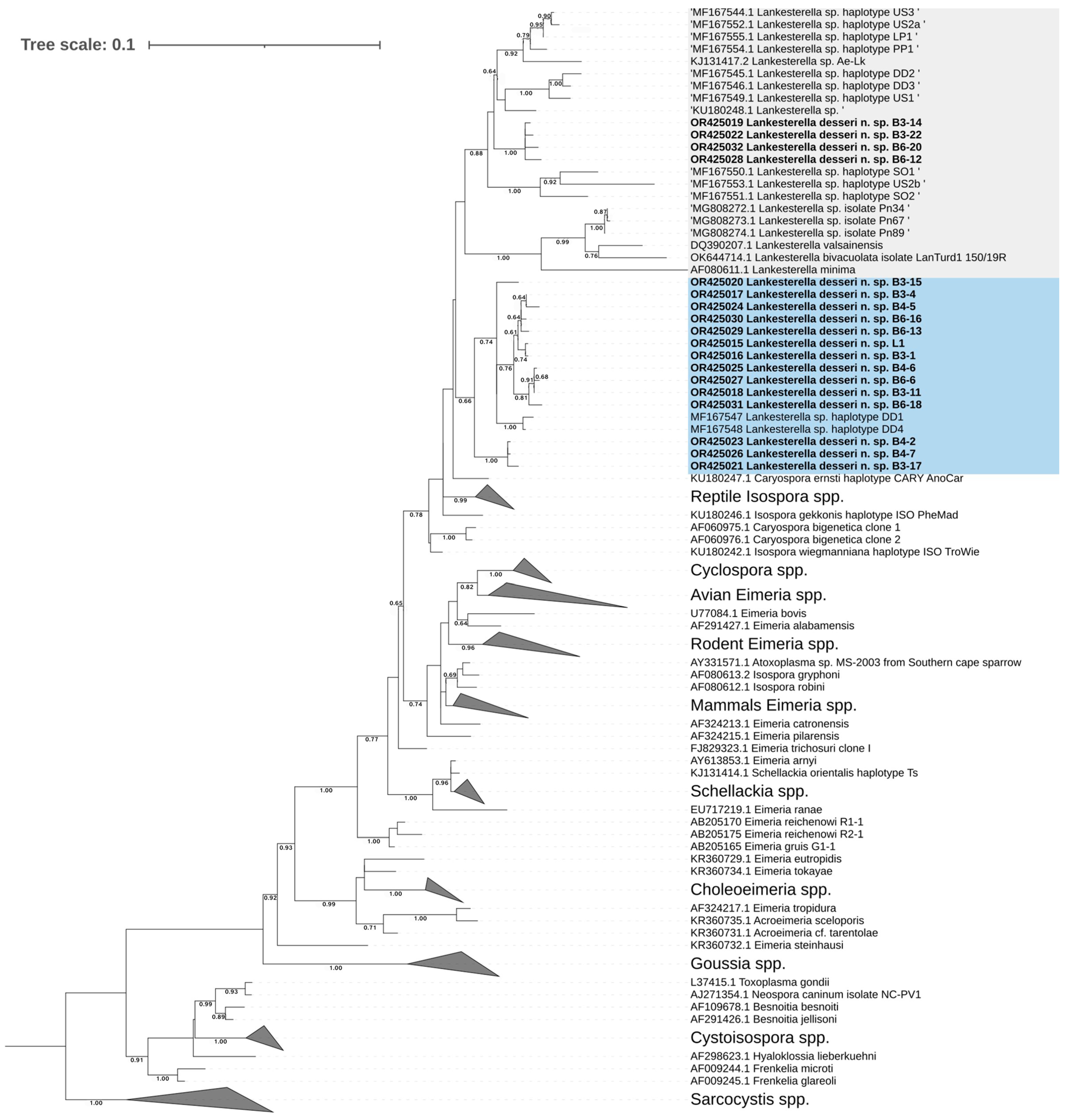 Microorganisms 11 02374 g007 Microorganisms 11 02374 g007