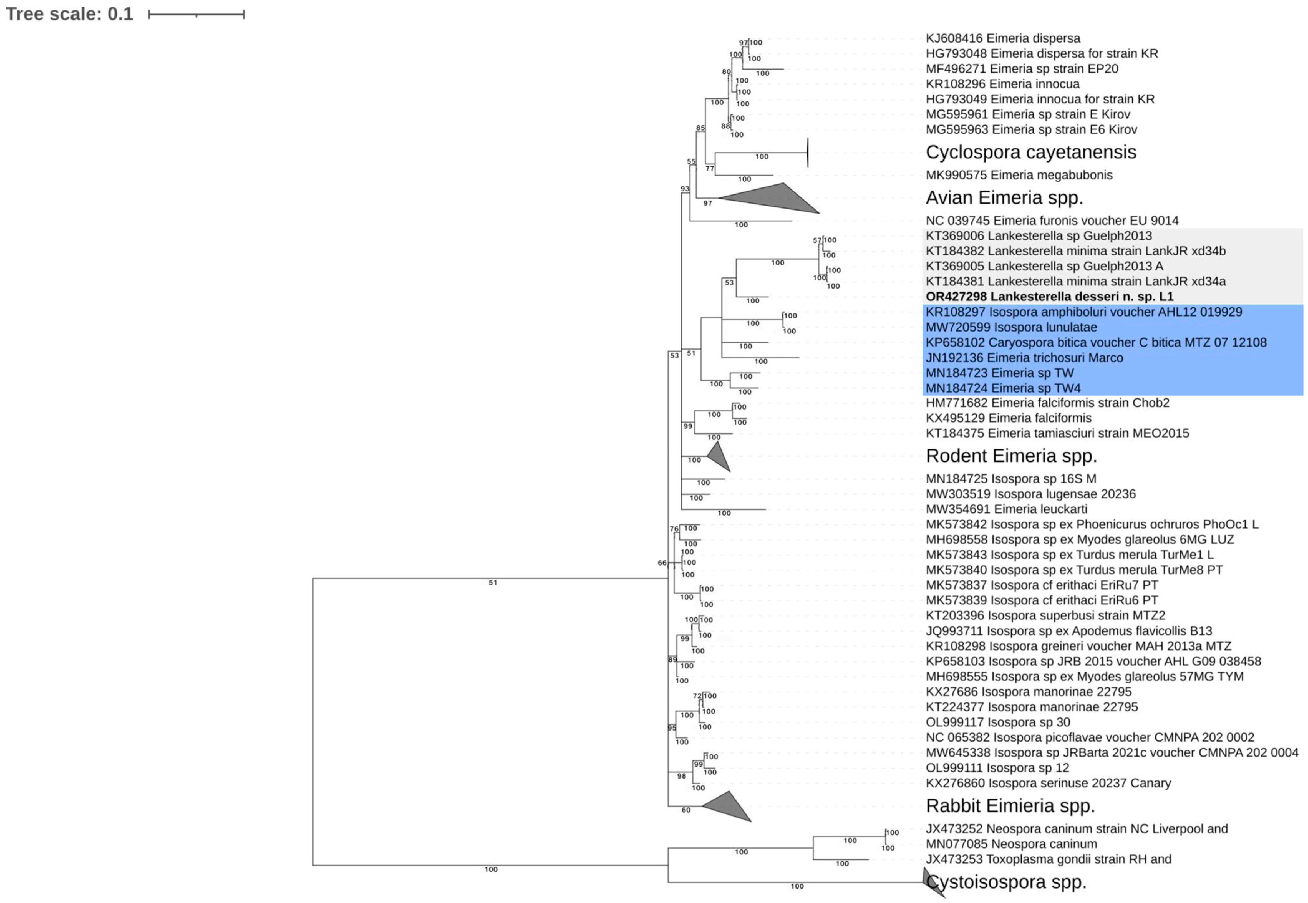 Microorganisms 11 02374 g008 Microorganisms 11 02374 g008