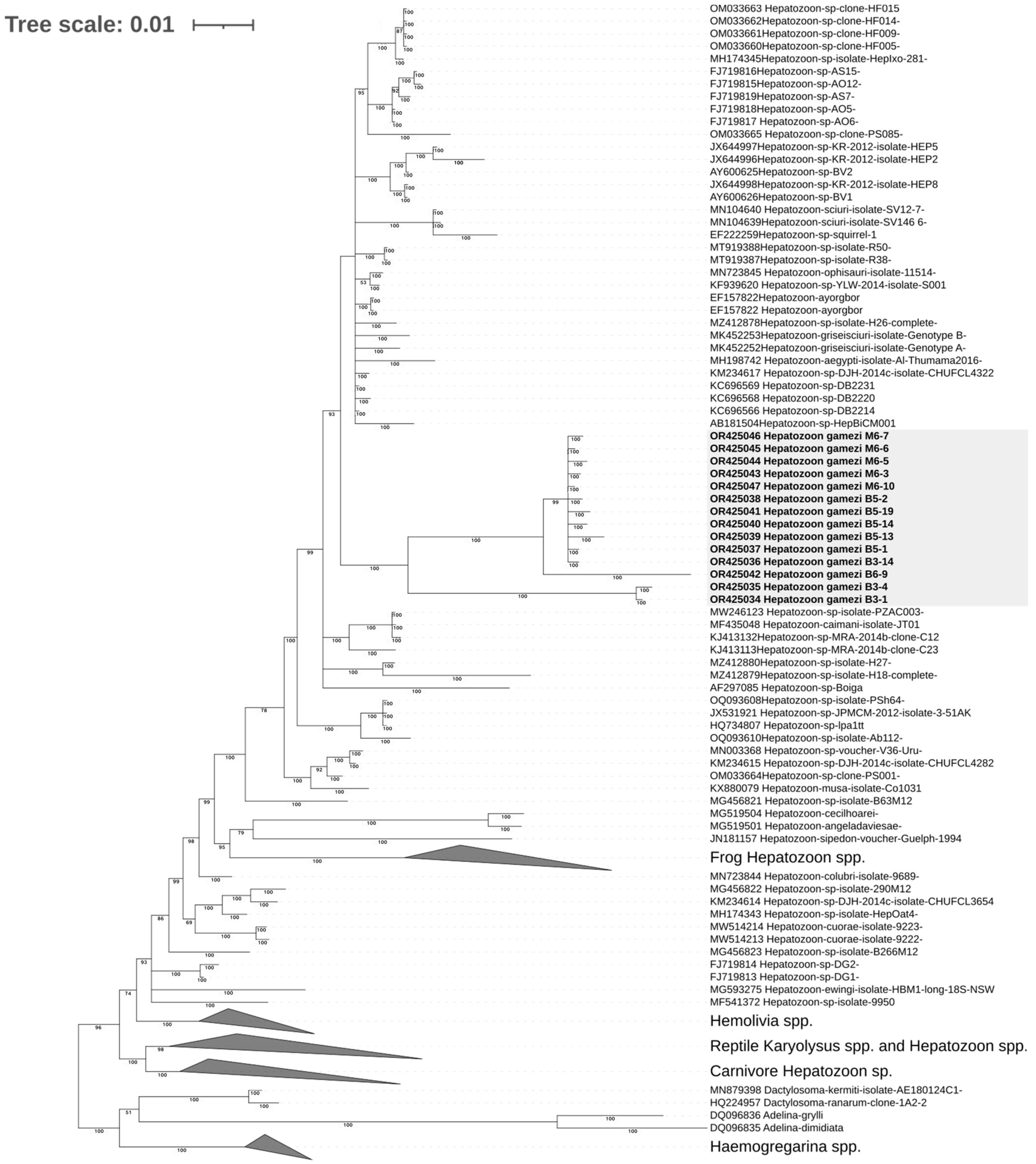 Microorganisms 11 02374 g009 Microorganisms 11 02374 g009