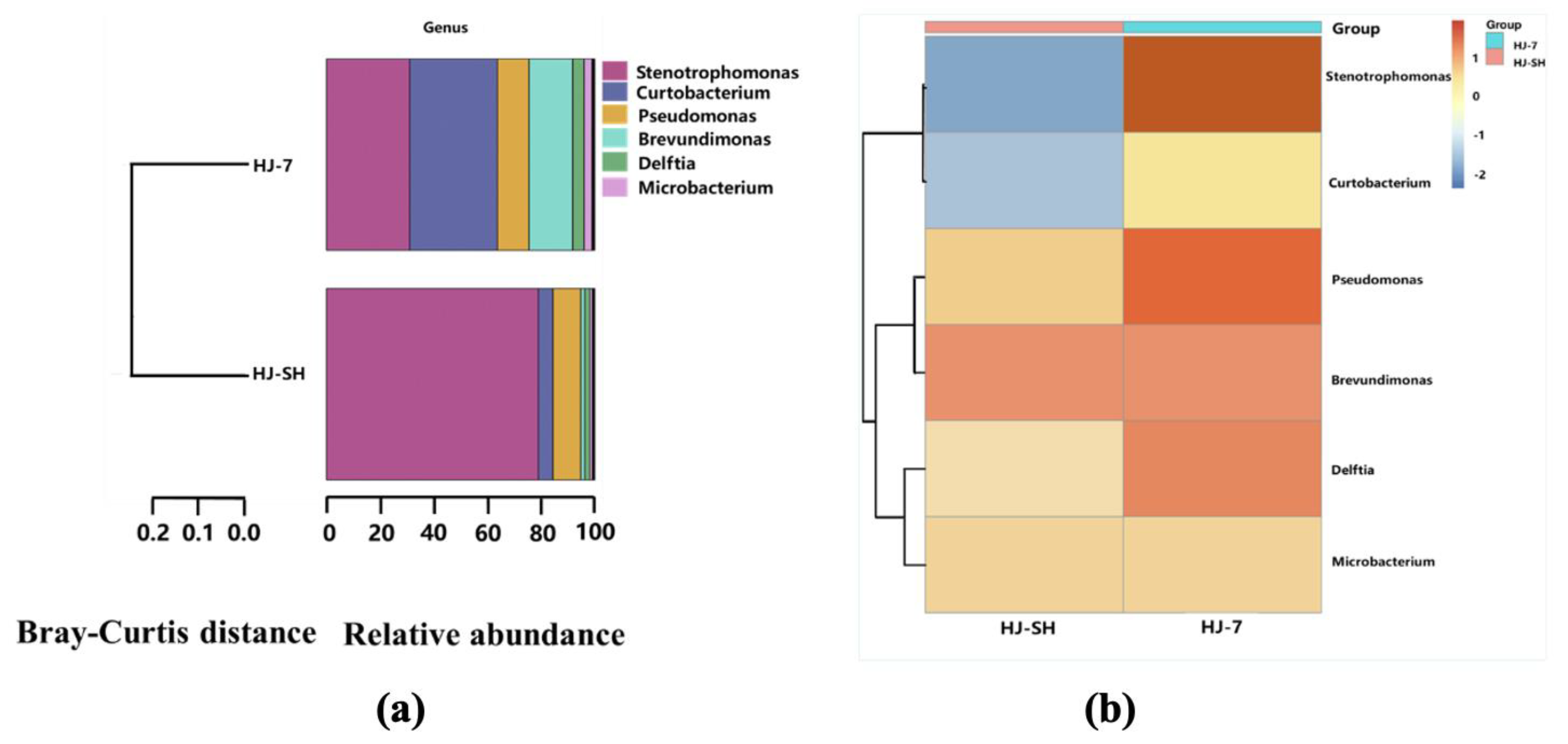 Microorganisms 11 02383 g001
