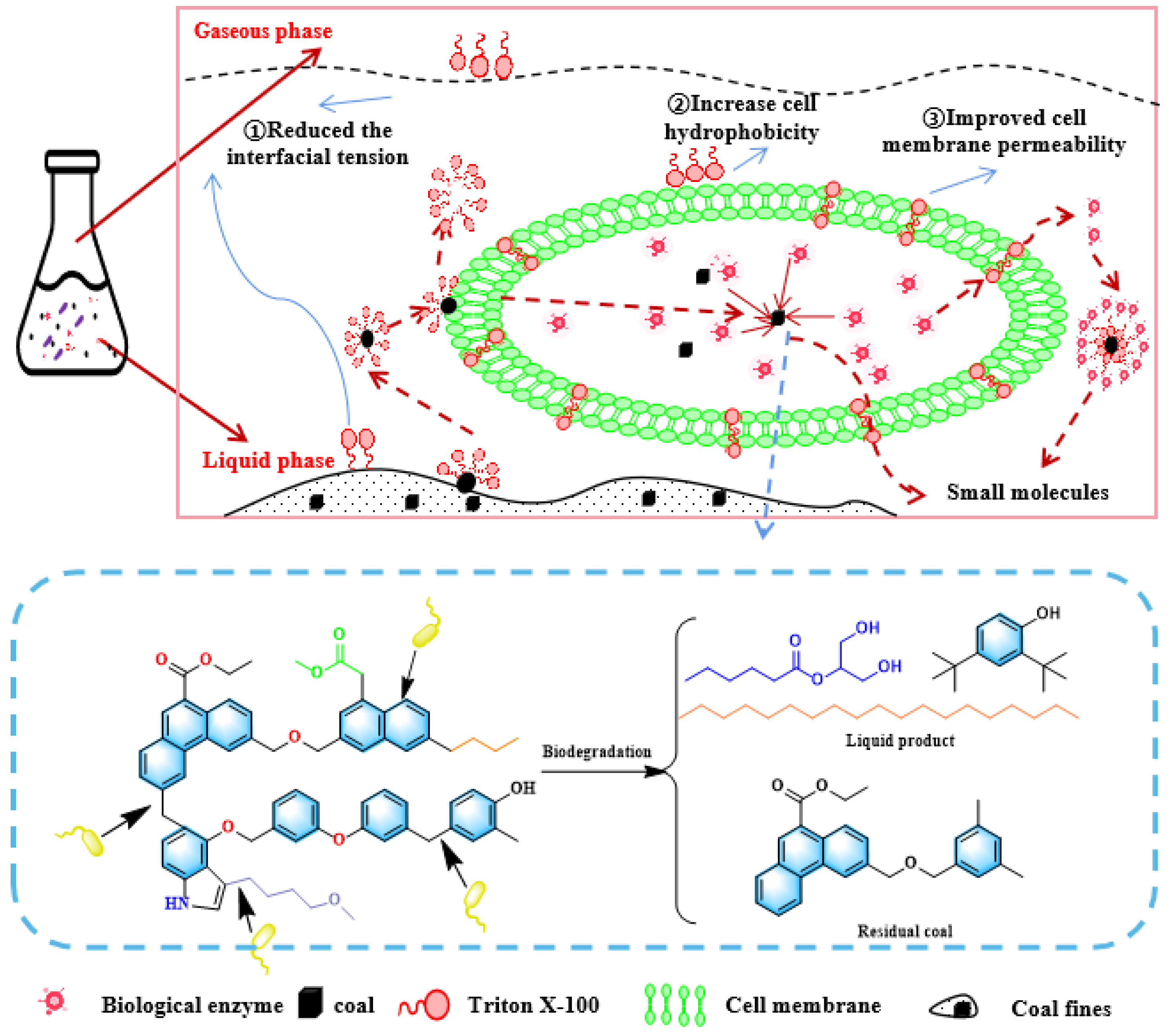 Microorganisms 11 02397 g012