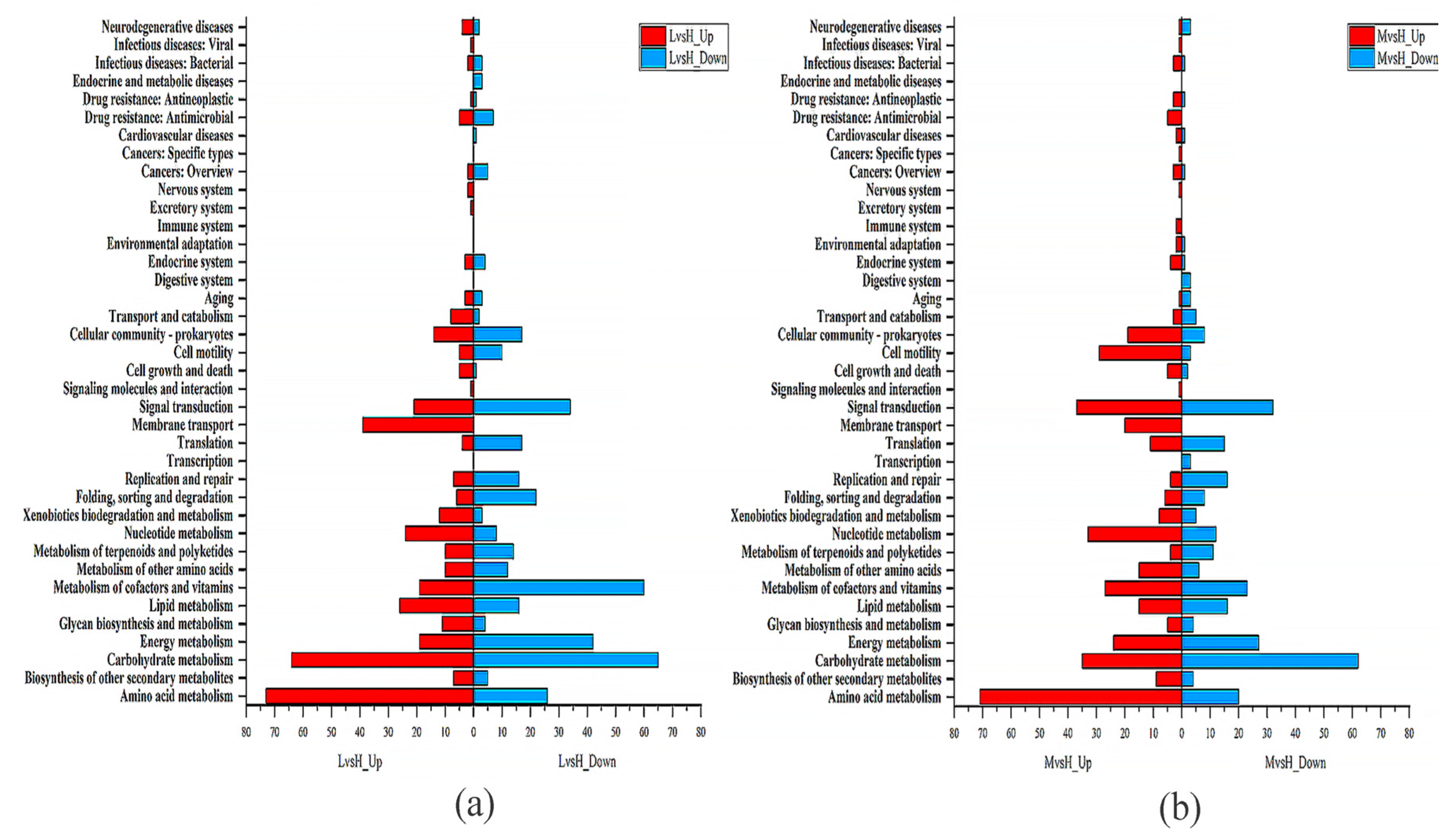 Microorganisms 11 02401 g004 Microorganisms 11 02401 g004