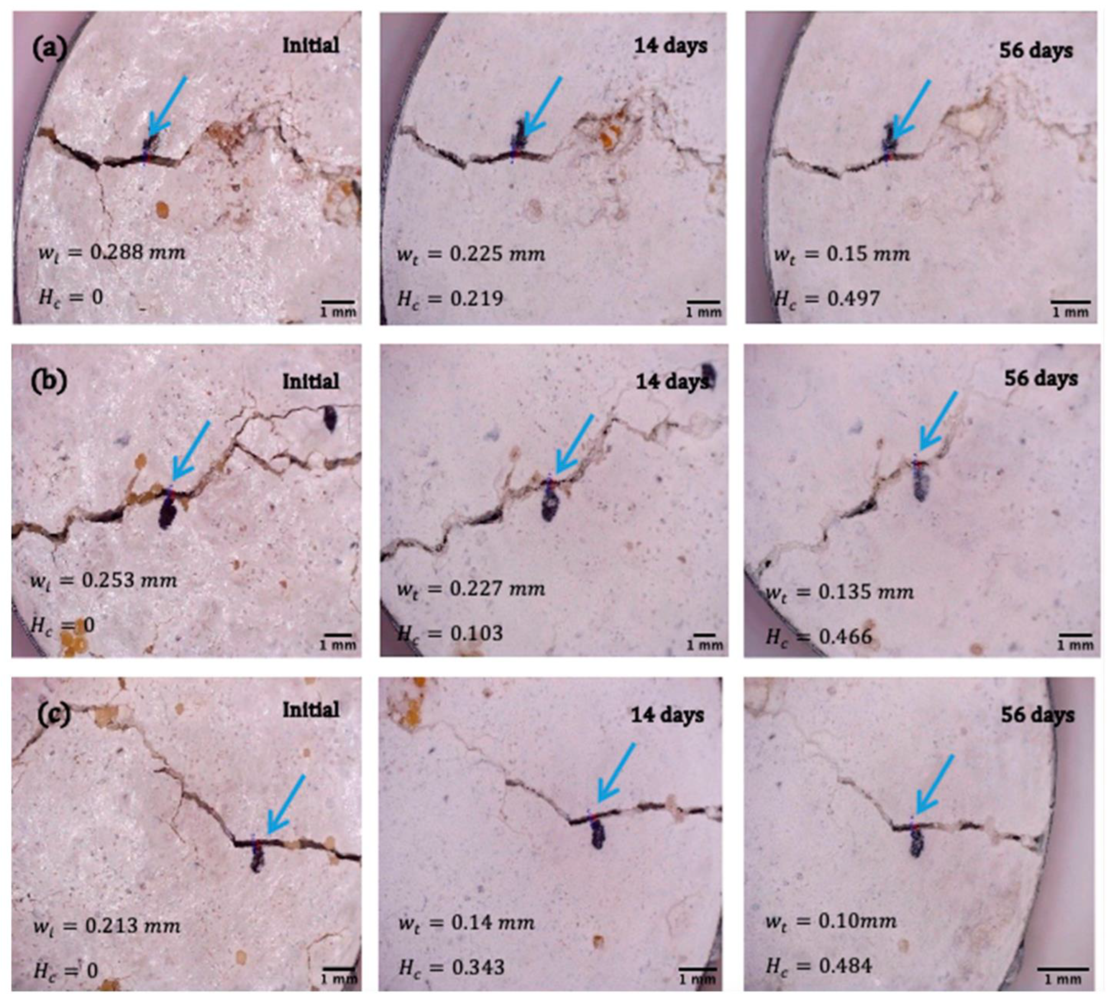 Microorganisms 11 02402 g008