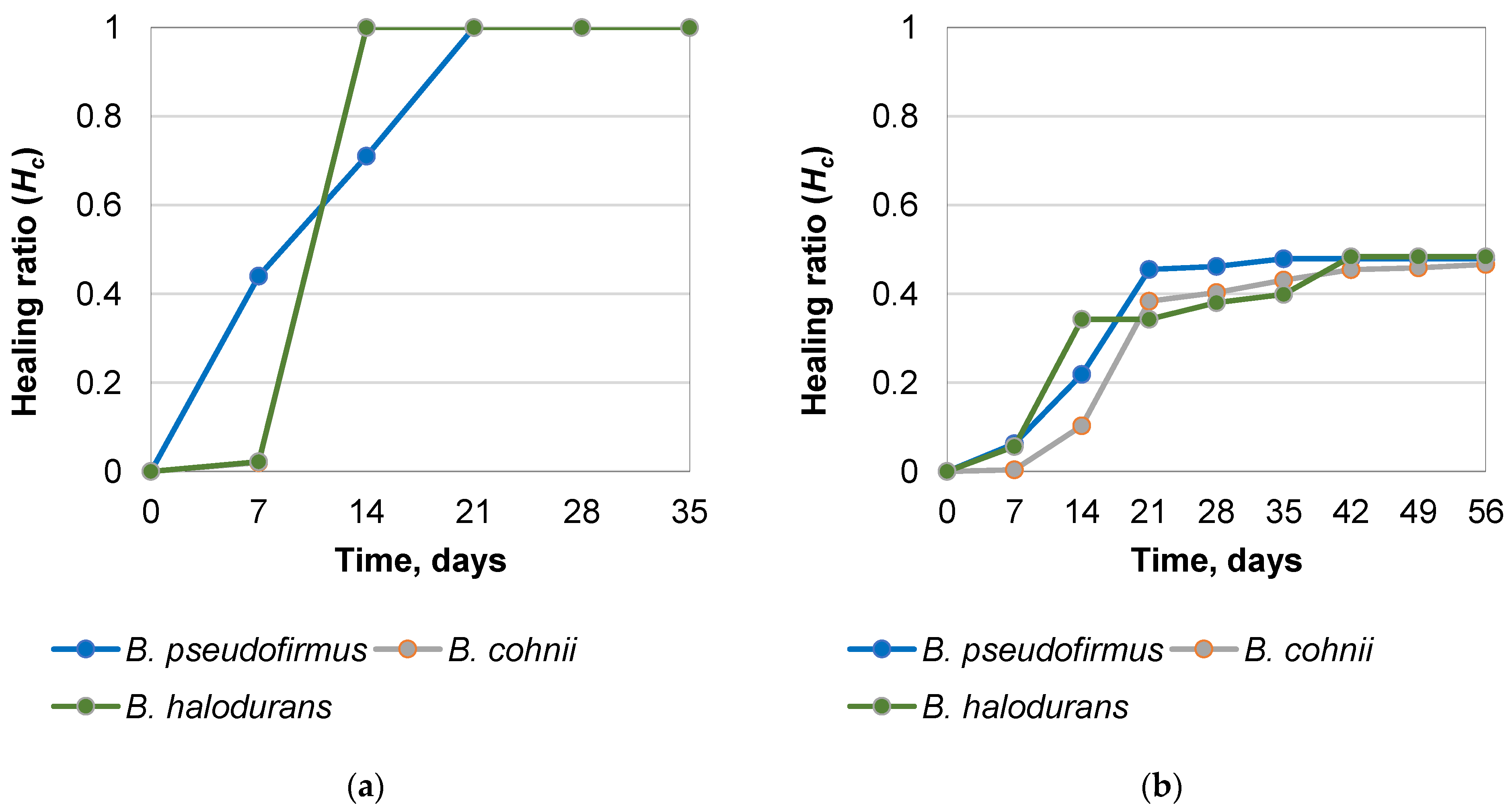 Microorganisms 11 02402 g010